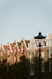 A vintage street lamp stands in the foreground with a backdrop of traditional European-style buildings. The architecture features gabled roofs and rows of windows, creating a classic urban skyline. Sparse trees with autumn foliage are visible, adding a natural element to the scene.