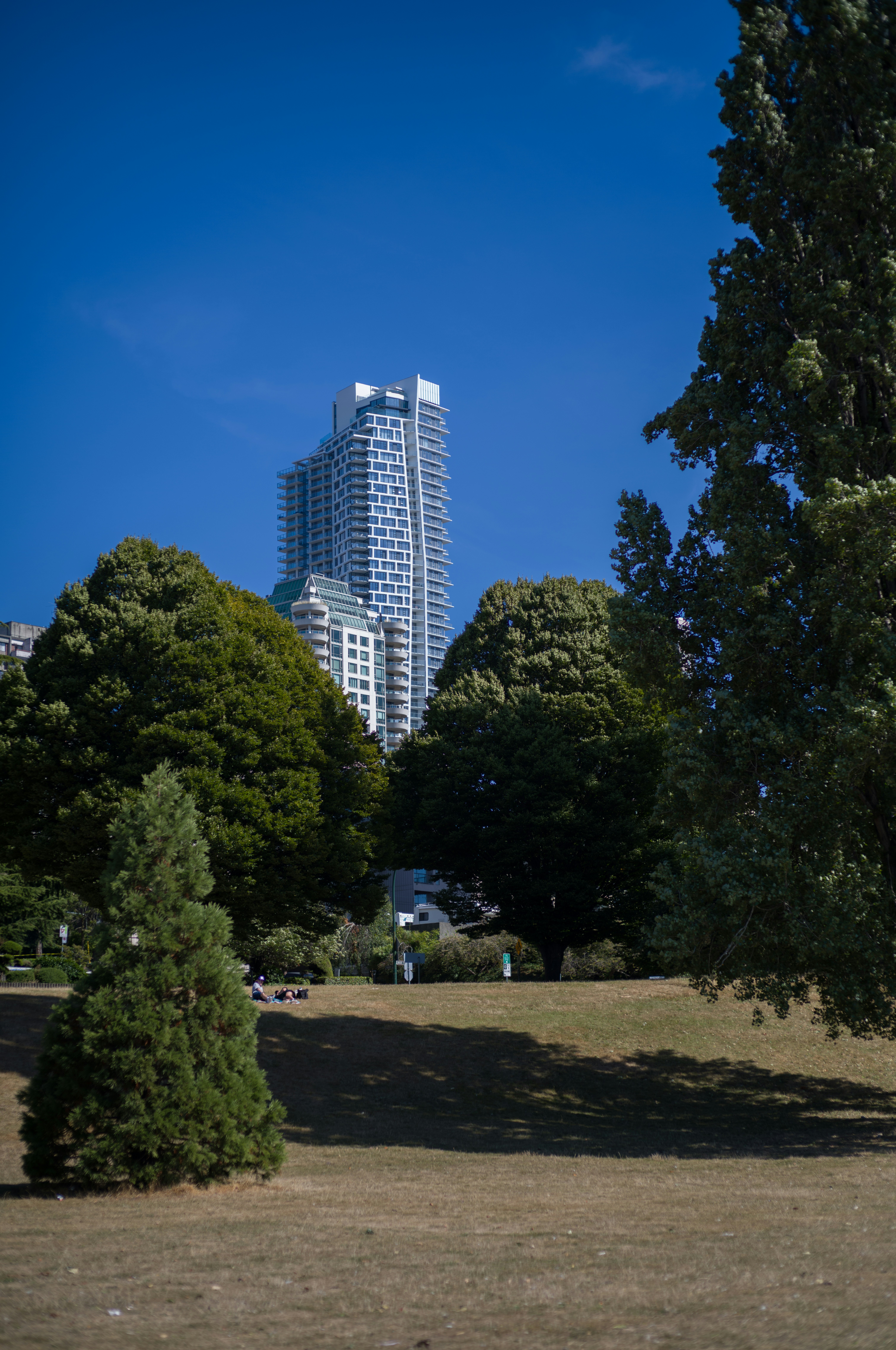 a park with trees and a tall building in the background