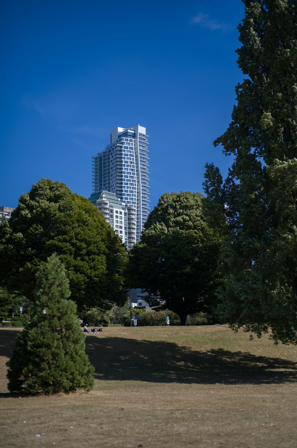 a park with trees and a tall building in the background