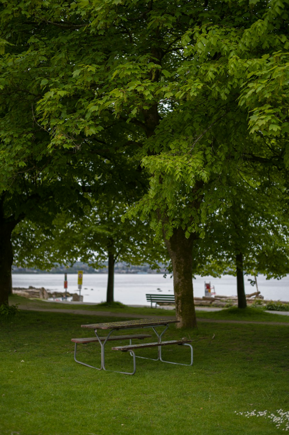 a bench sits under a tree