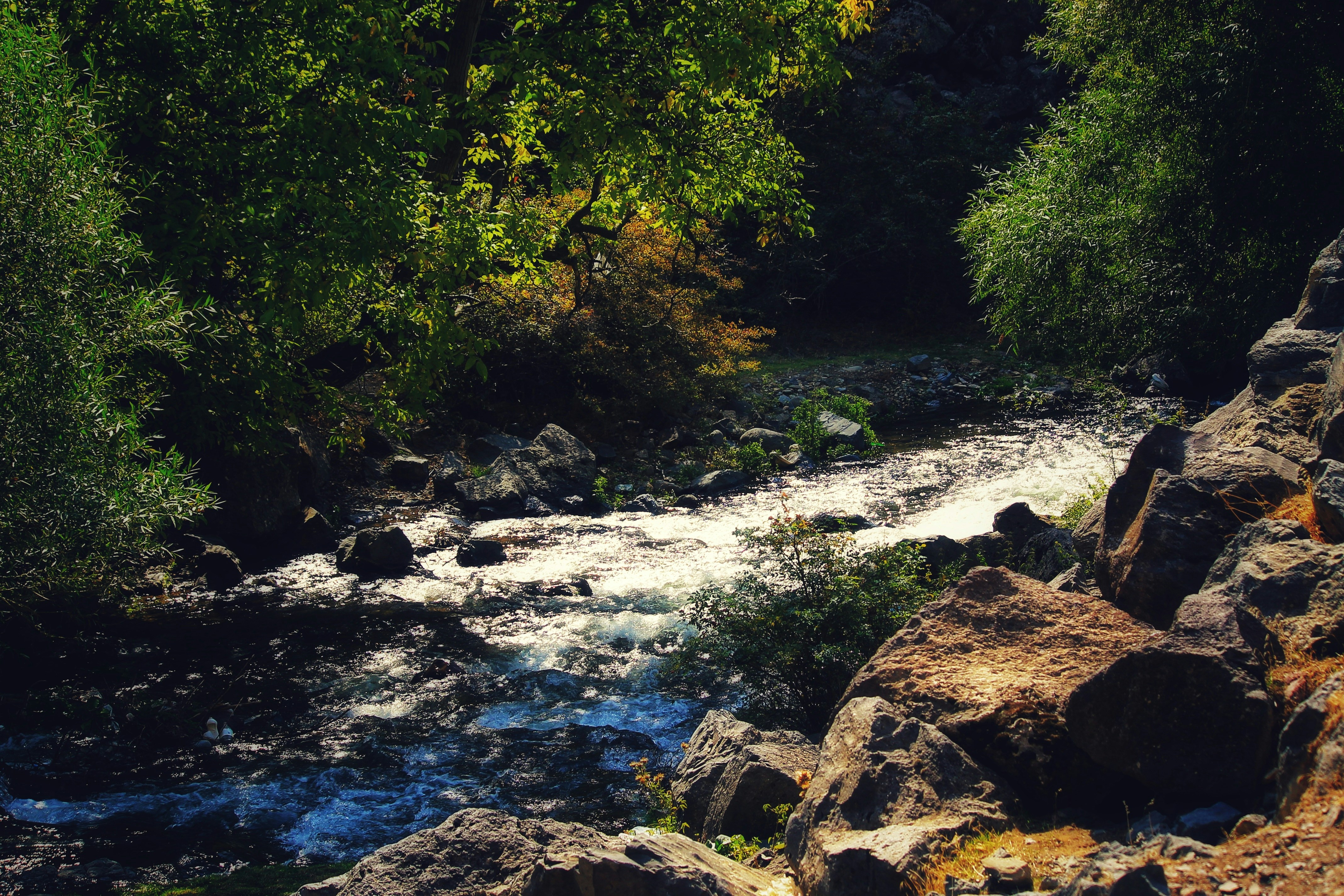 Photo by trofimova_photographer