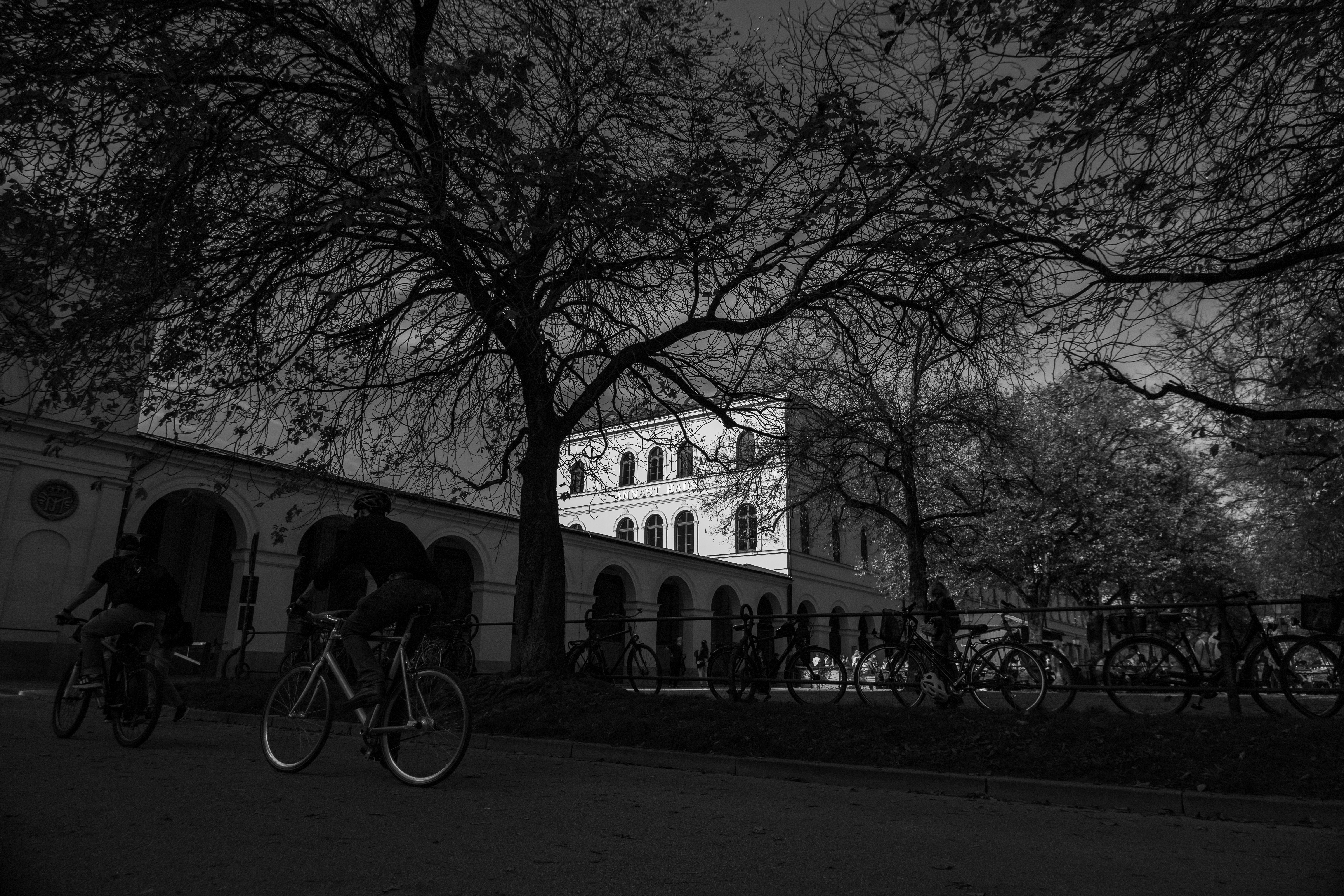 a group of people riding bikes on a street