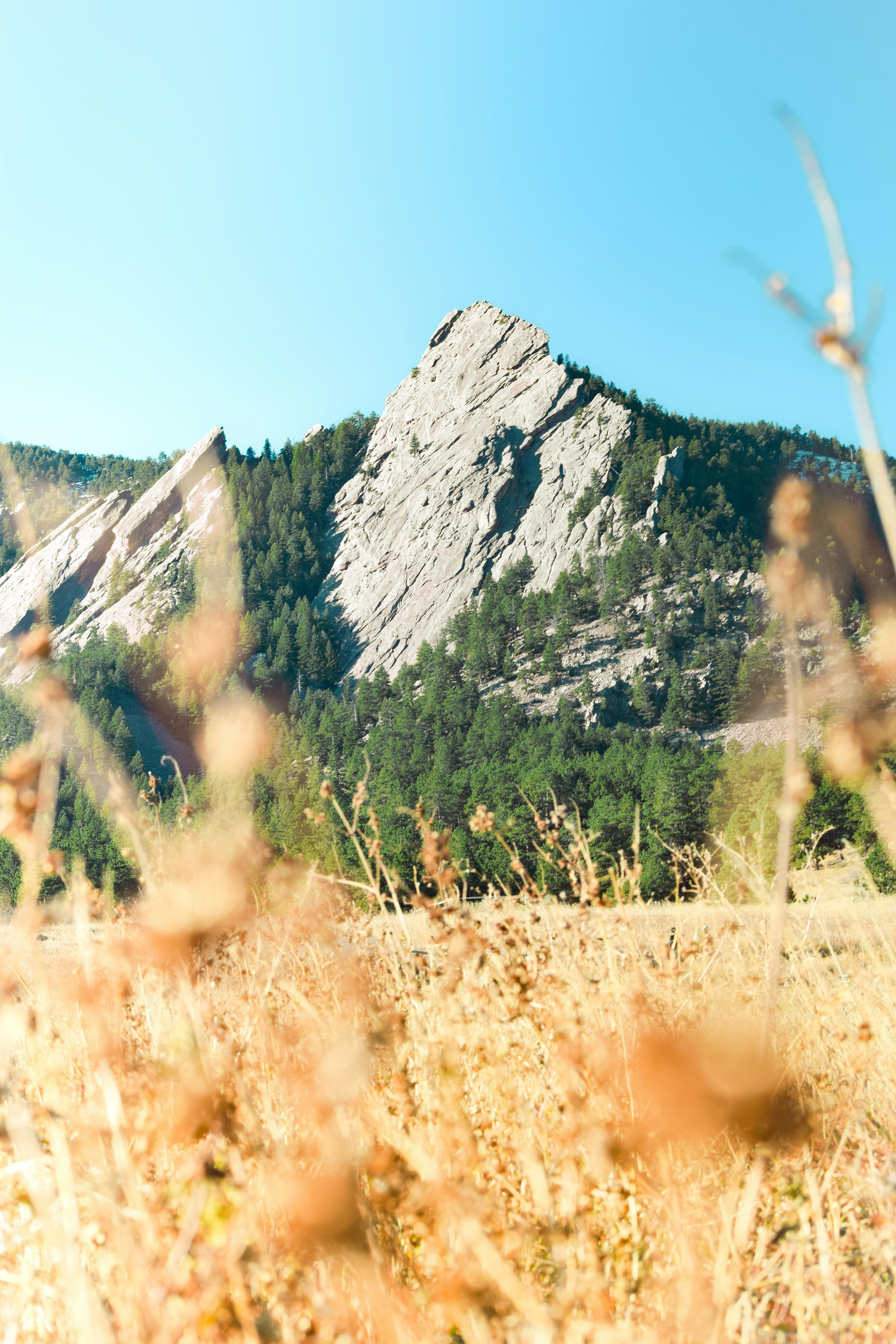 a rocky mountain with trees