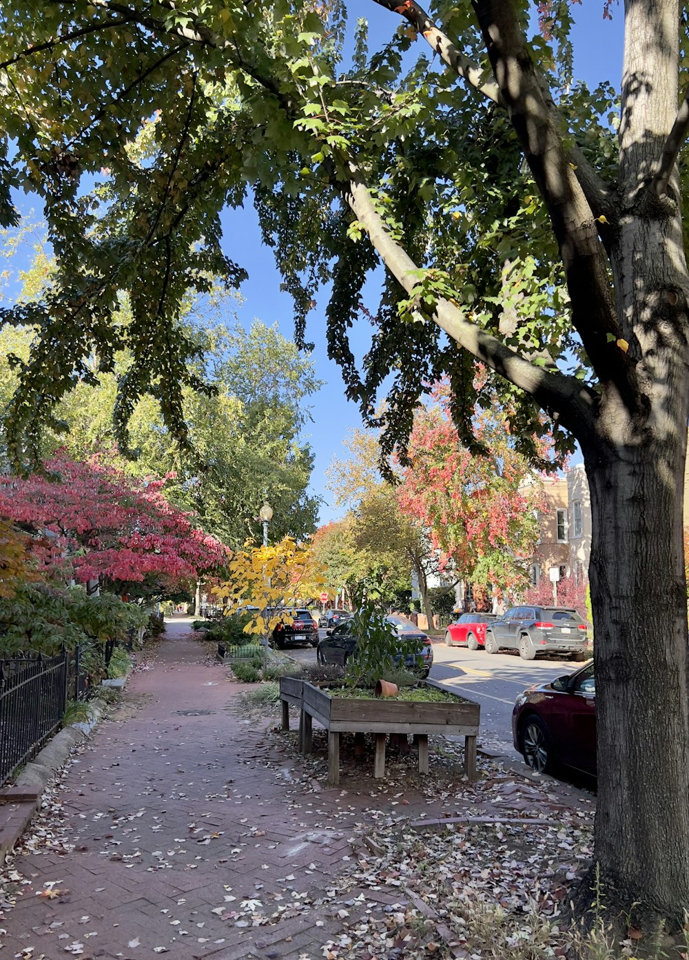 a bench sits unoccupied