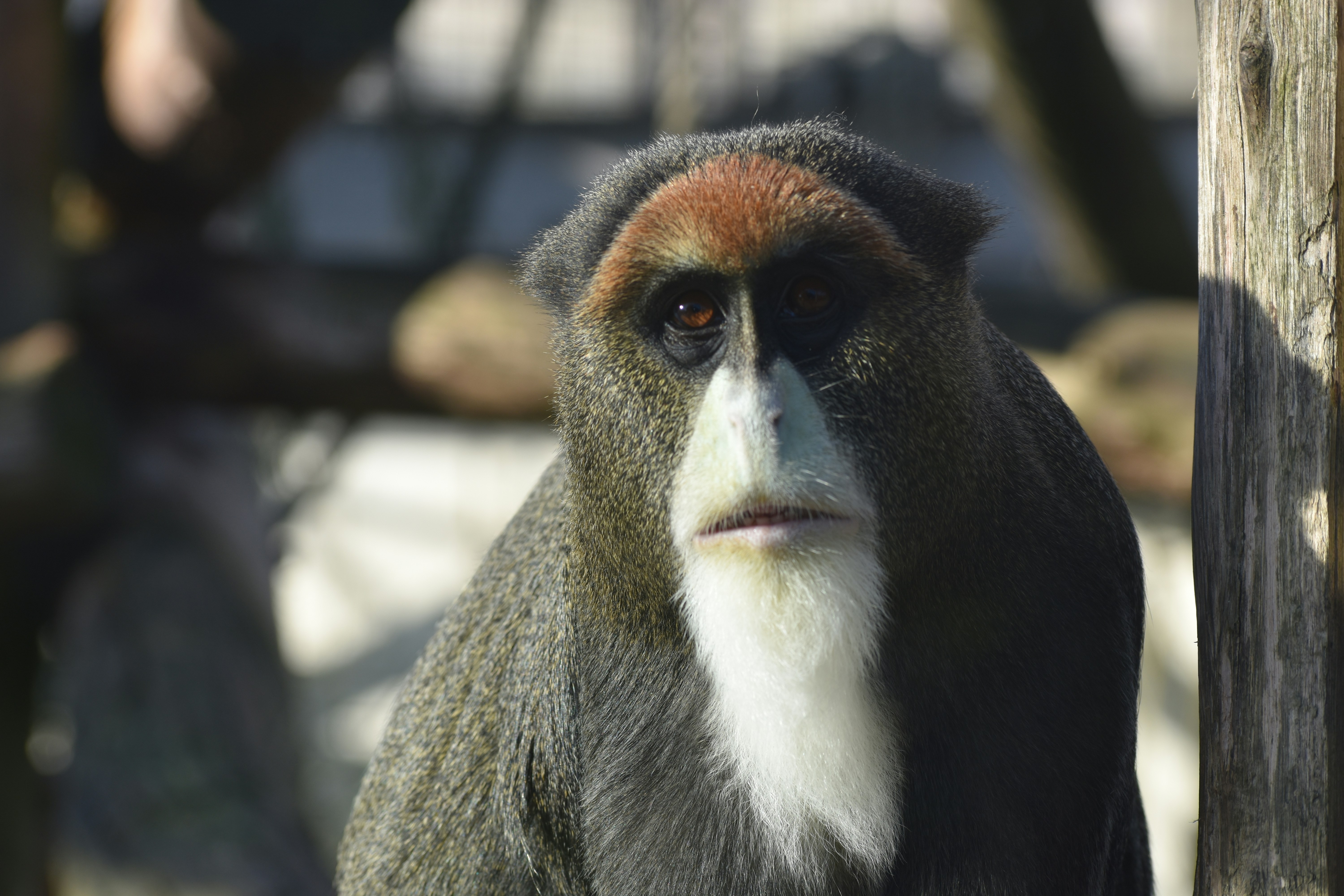 Photo by andrew_hall