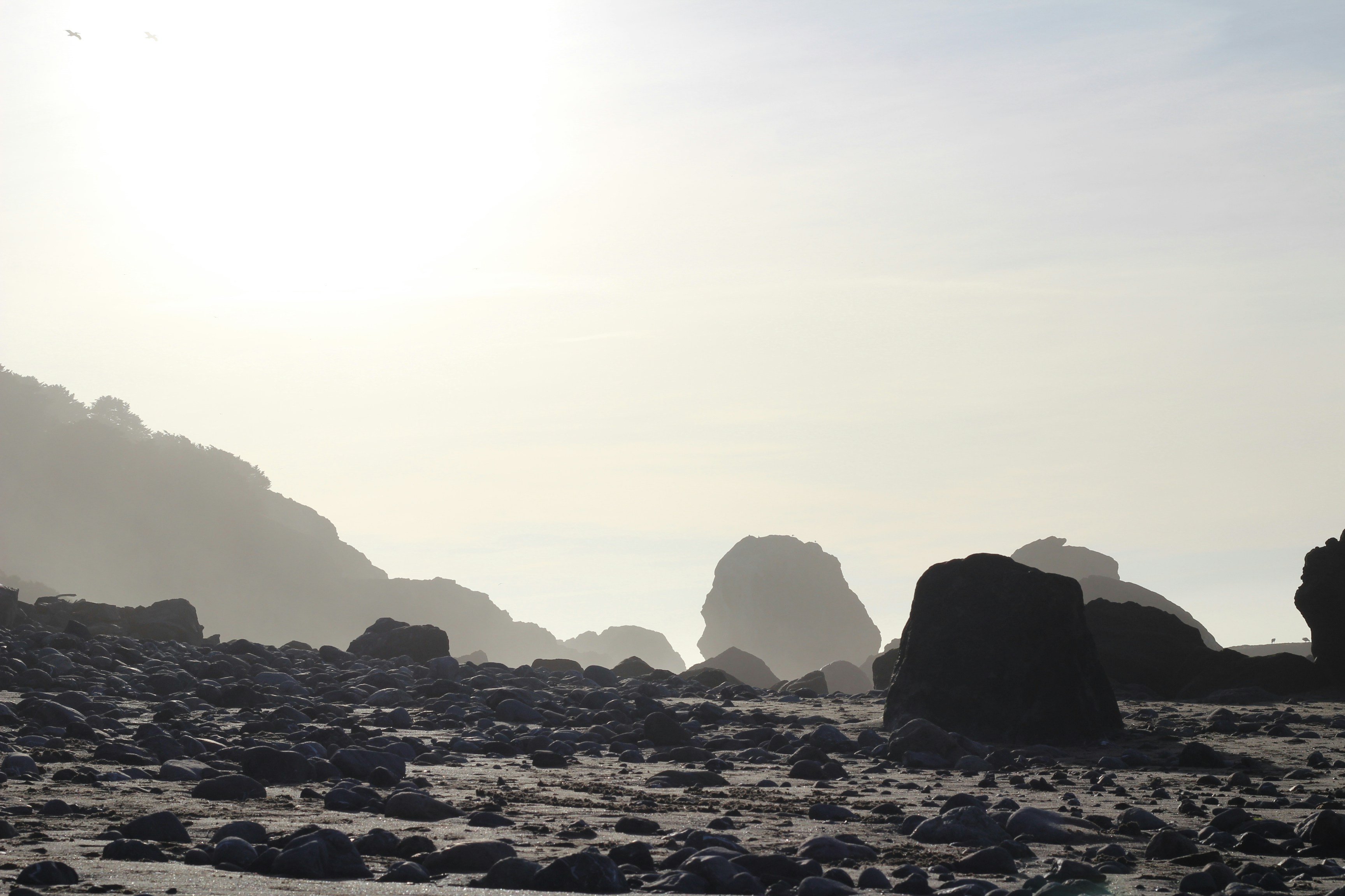 a rocky beach with a hill in the background