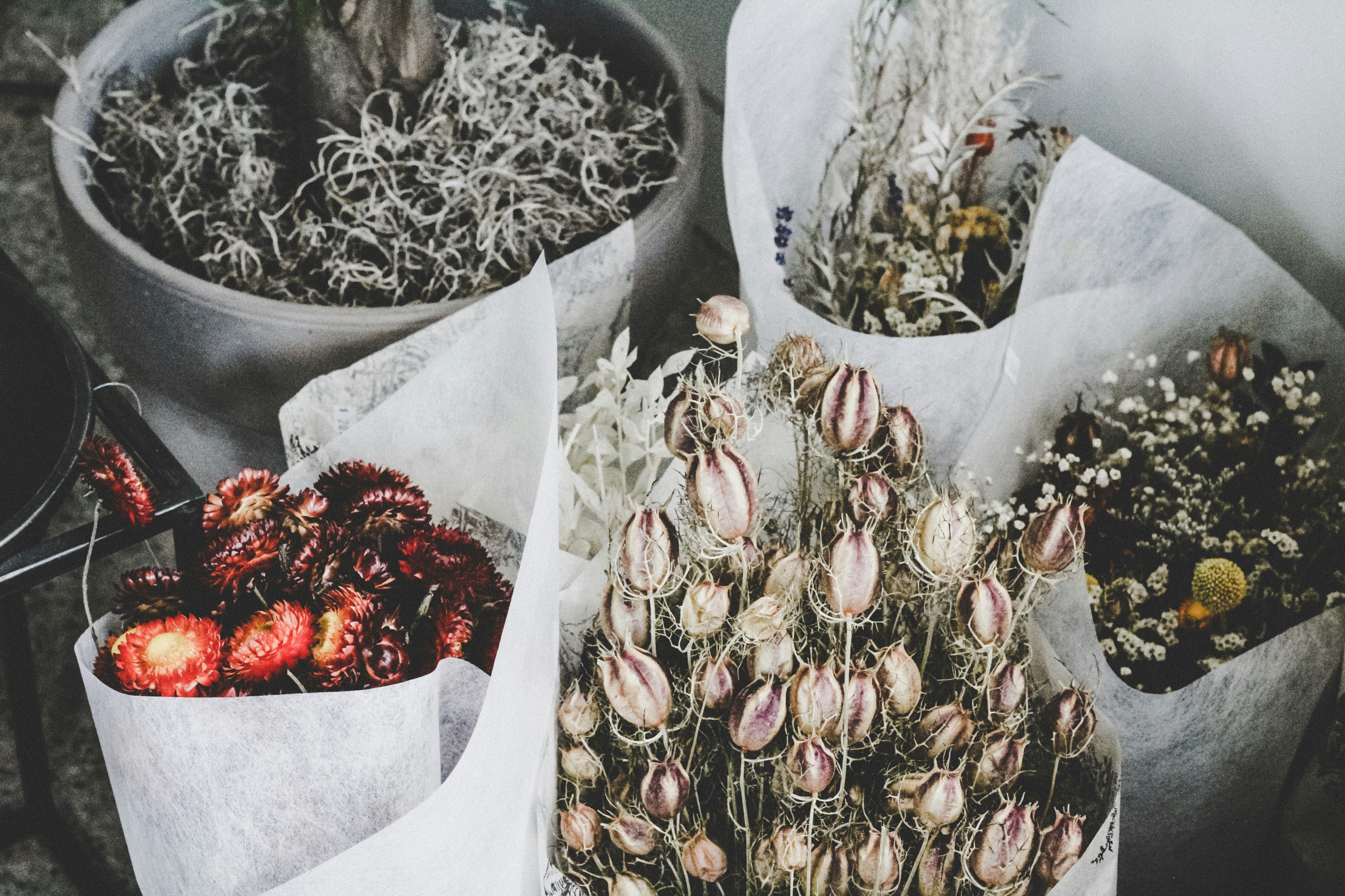 un groupe de plantes en pots