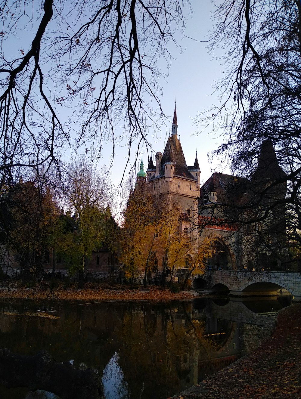 a castle with a bridge over a river