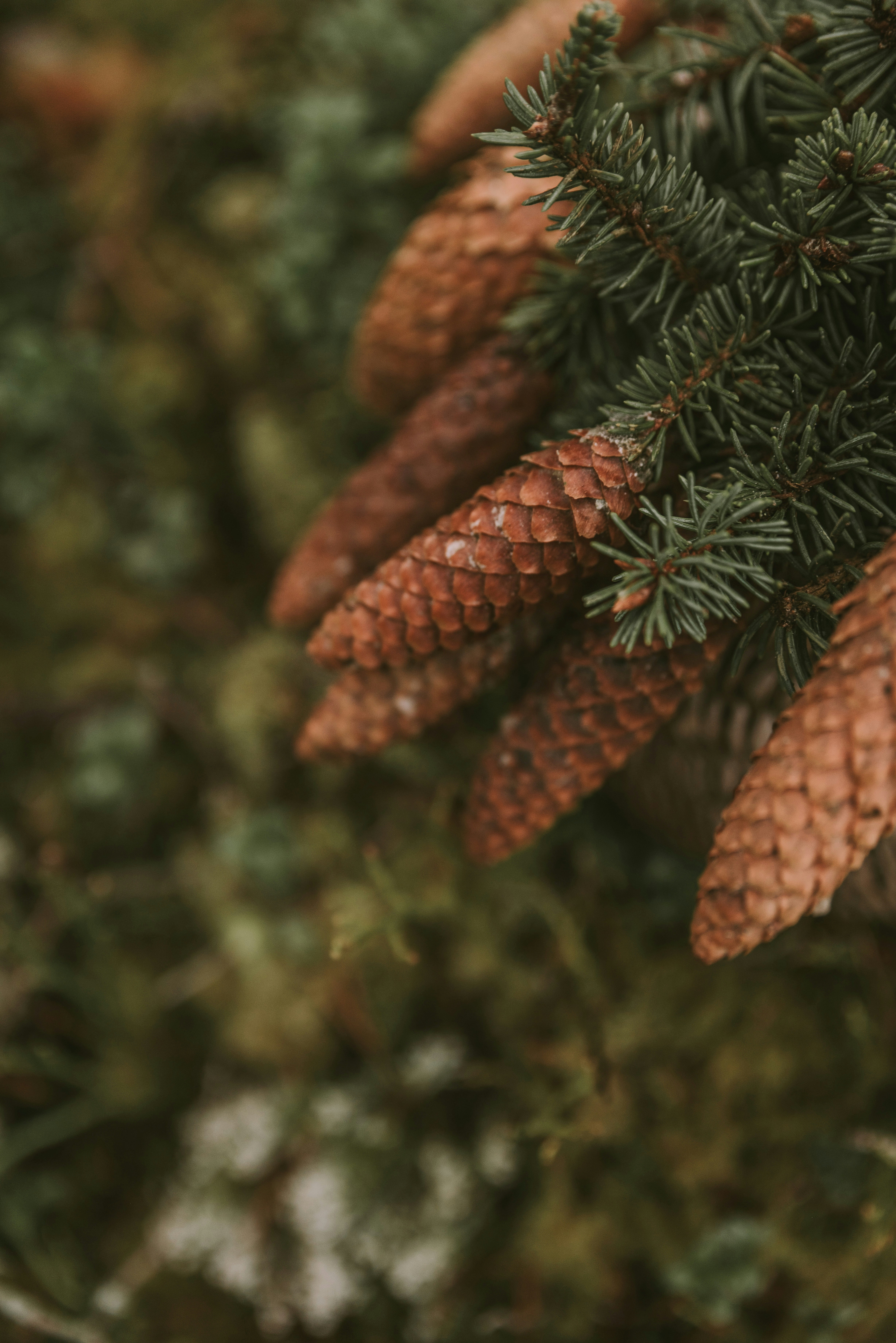 Photo by anitaaustvika