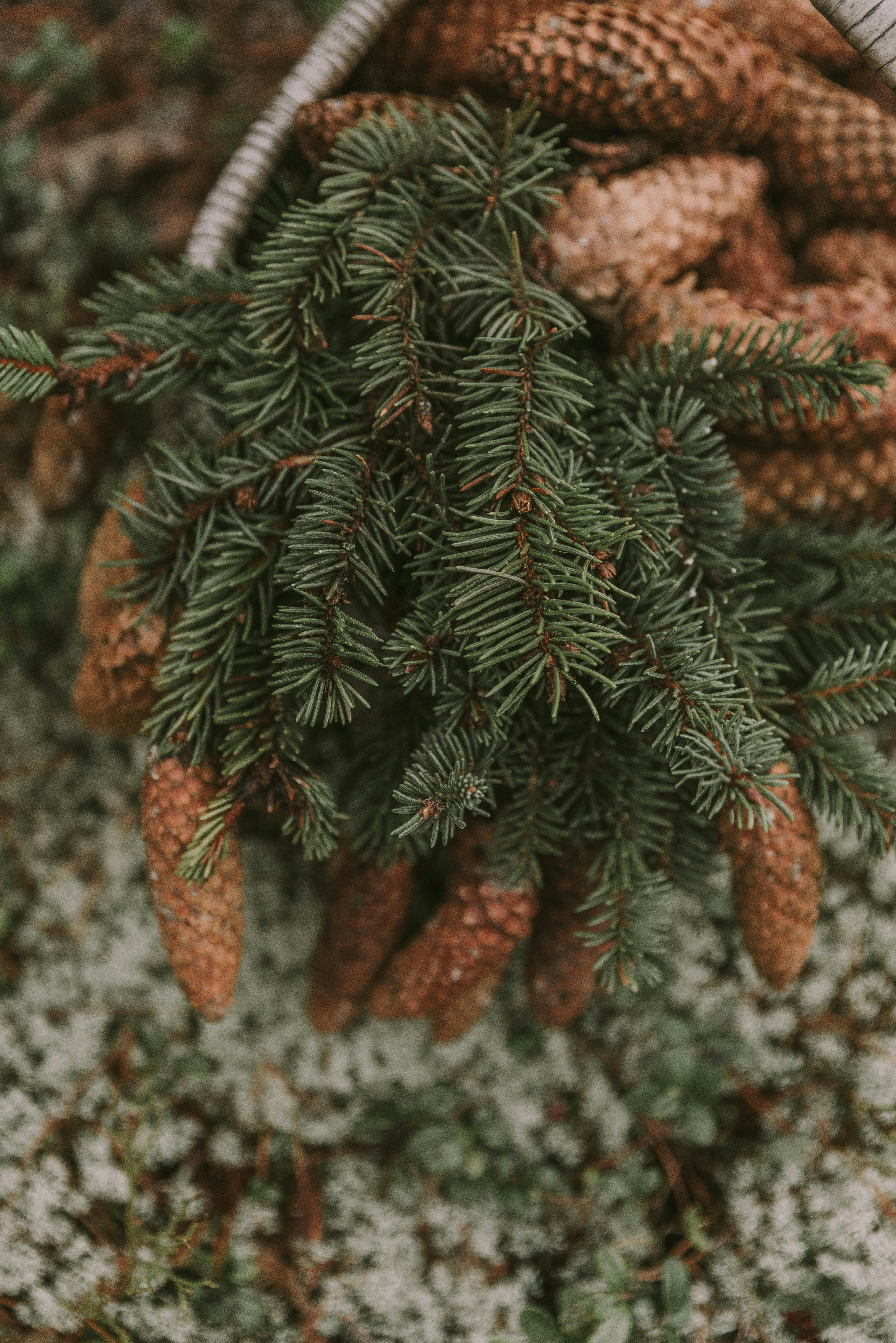 Photo by anitaaustvika