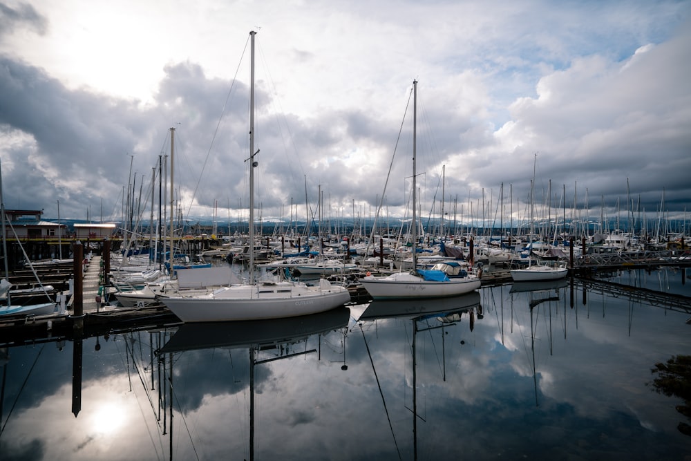 a group of boats sit in a harbor