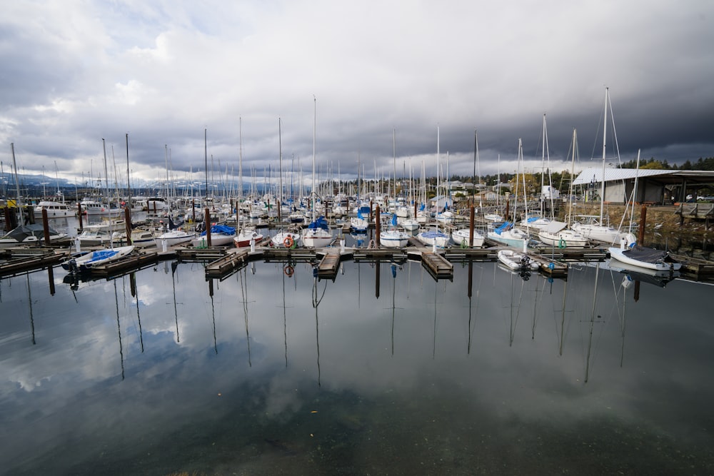 a marina full of boats