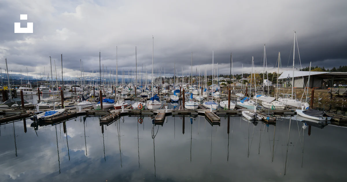 Comox Boat Ramp A marina full of boats photo – Free Comox Image on Unsplash
