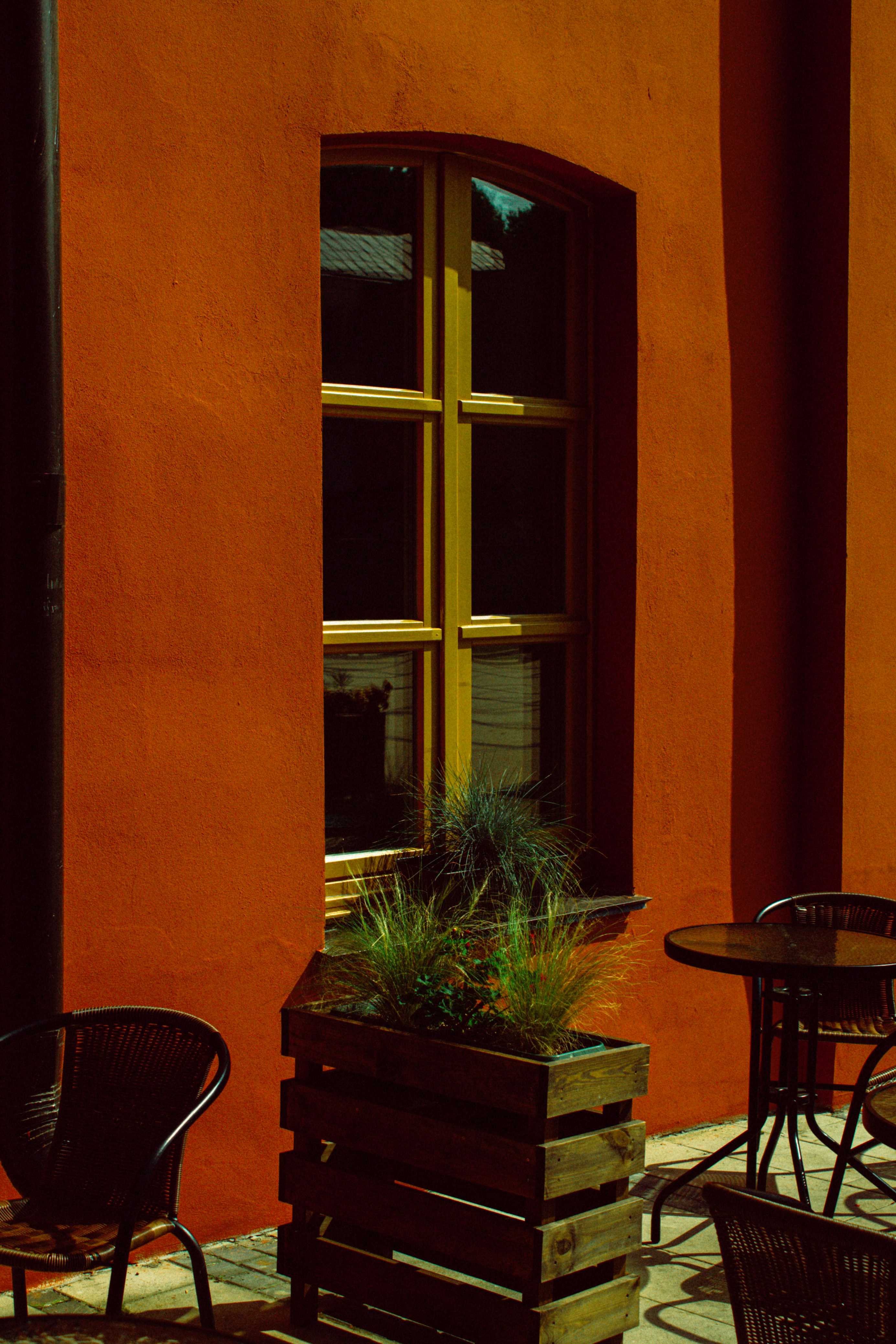 Photo by valeria_klys