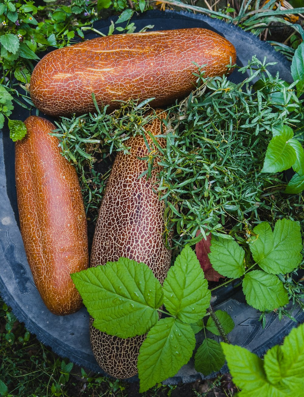 a group of carrots