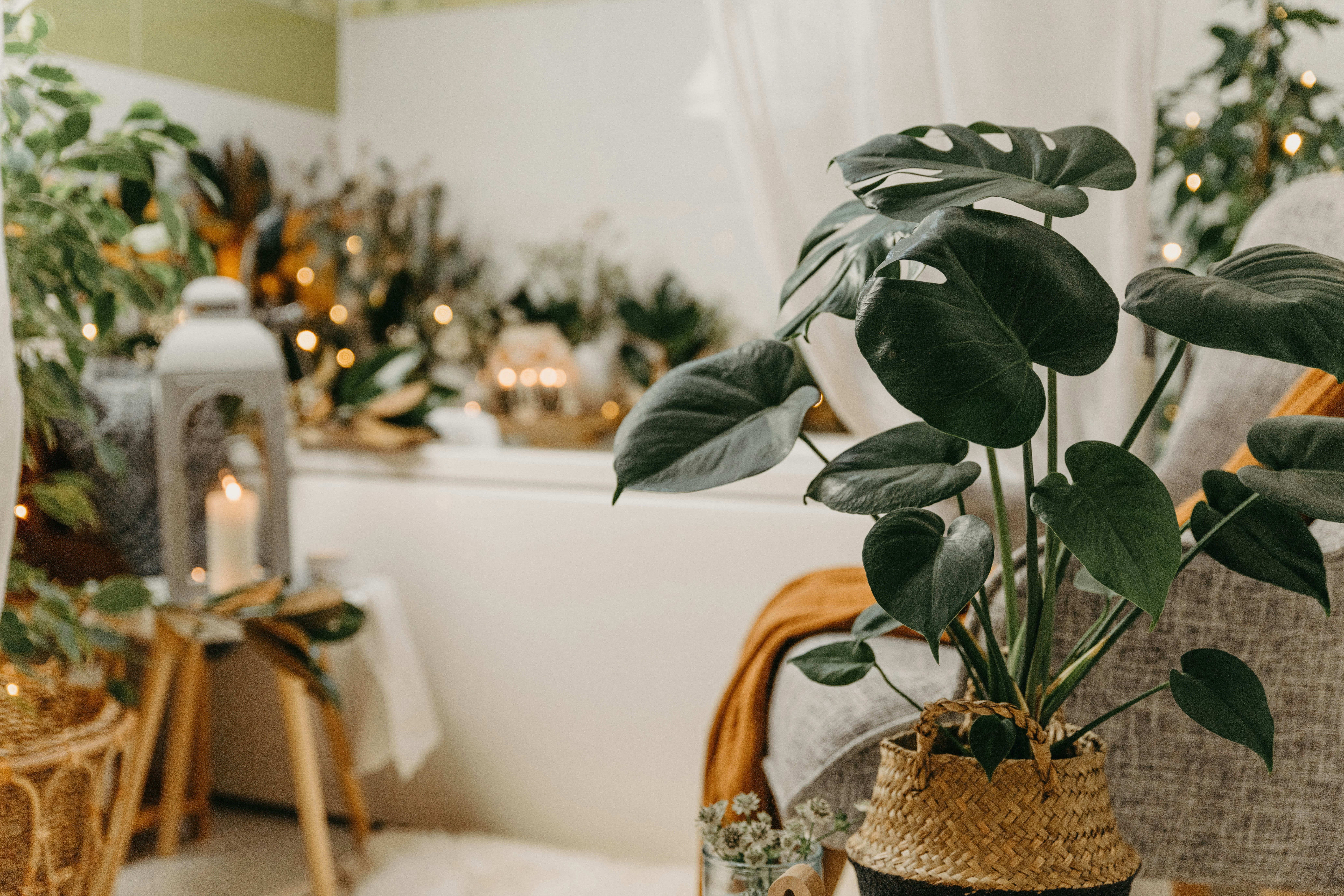 Photo by anitaaustvika