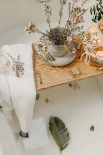 a plant in a pot