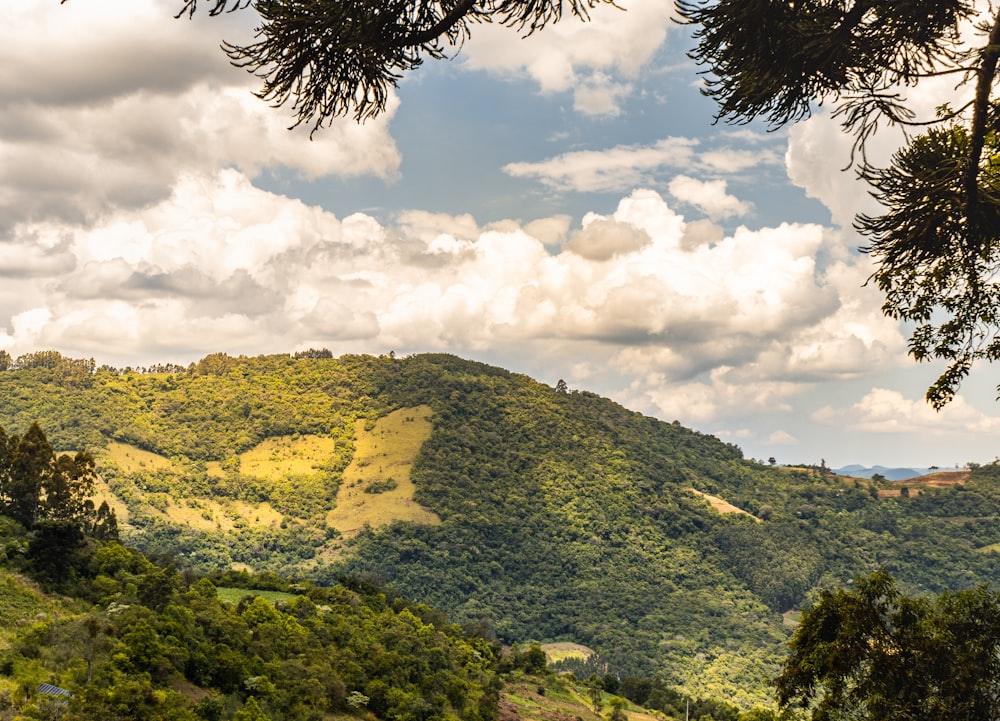 Un paesaggio con alberi e nuvole