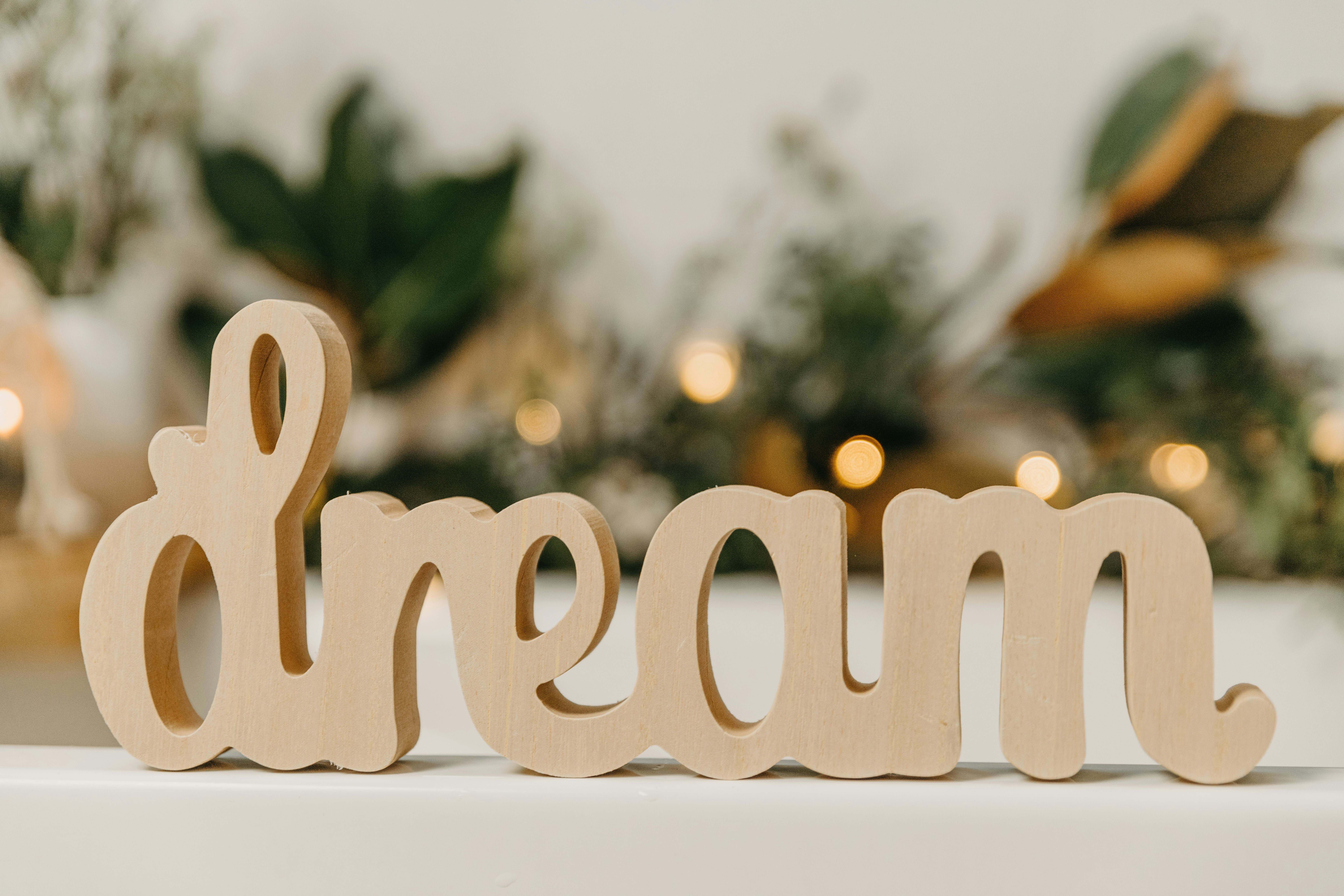 Photo by anitaaustvika