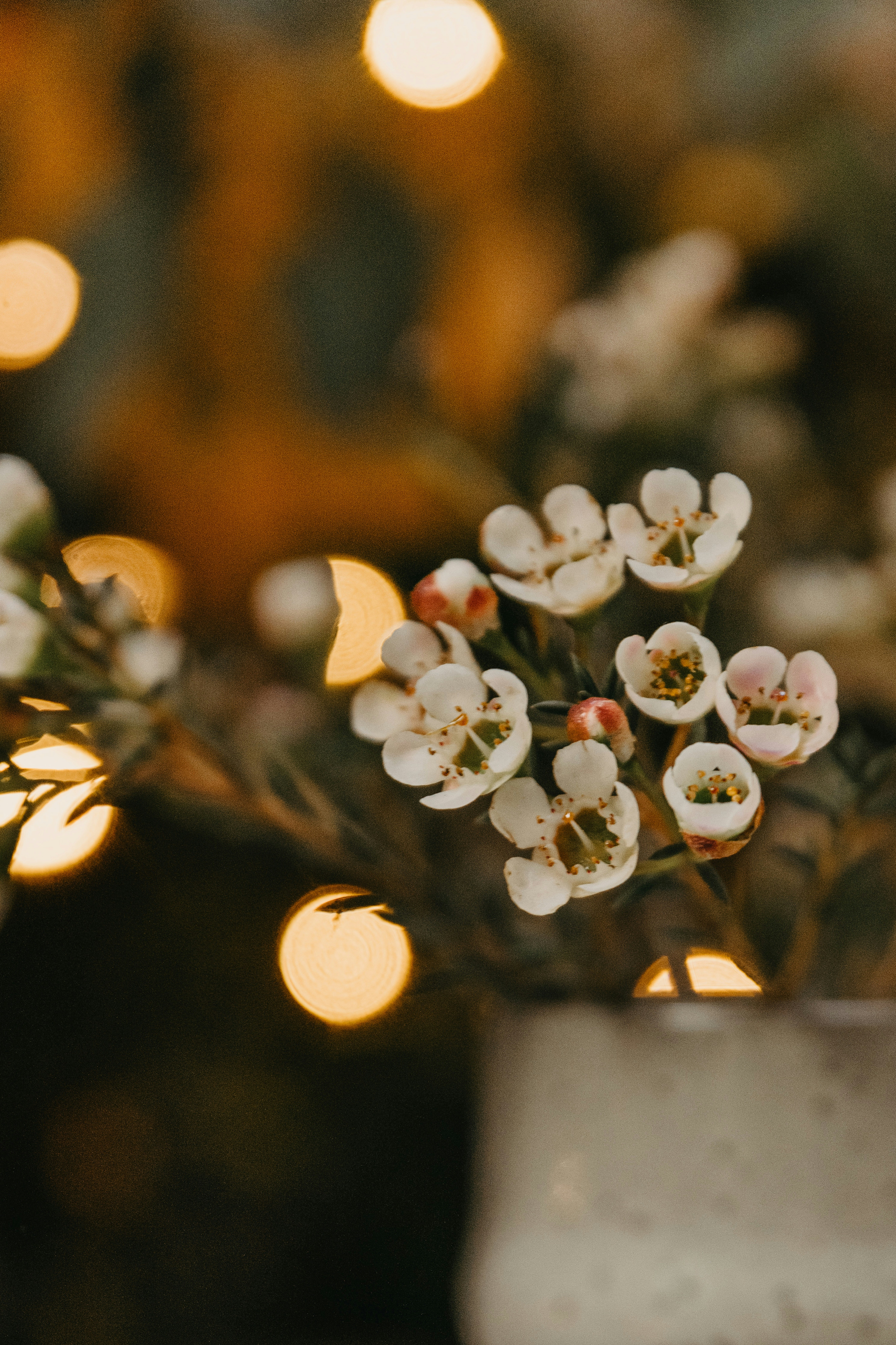 Photo by anitaaustvika