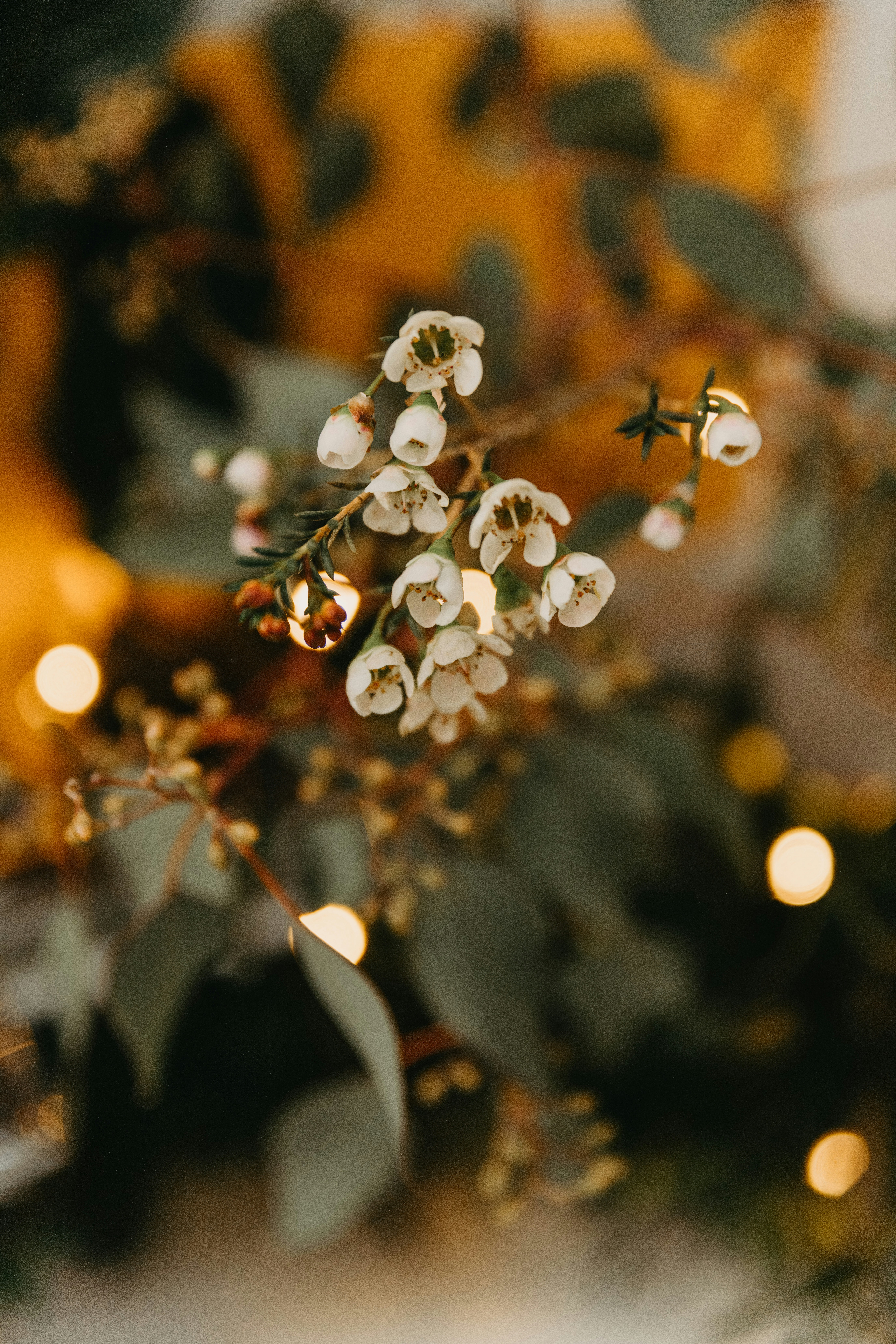 Photo by anitaaustvika