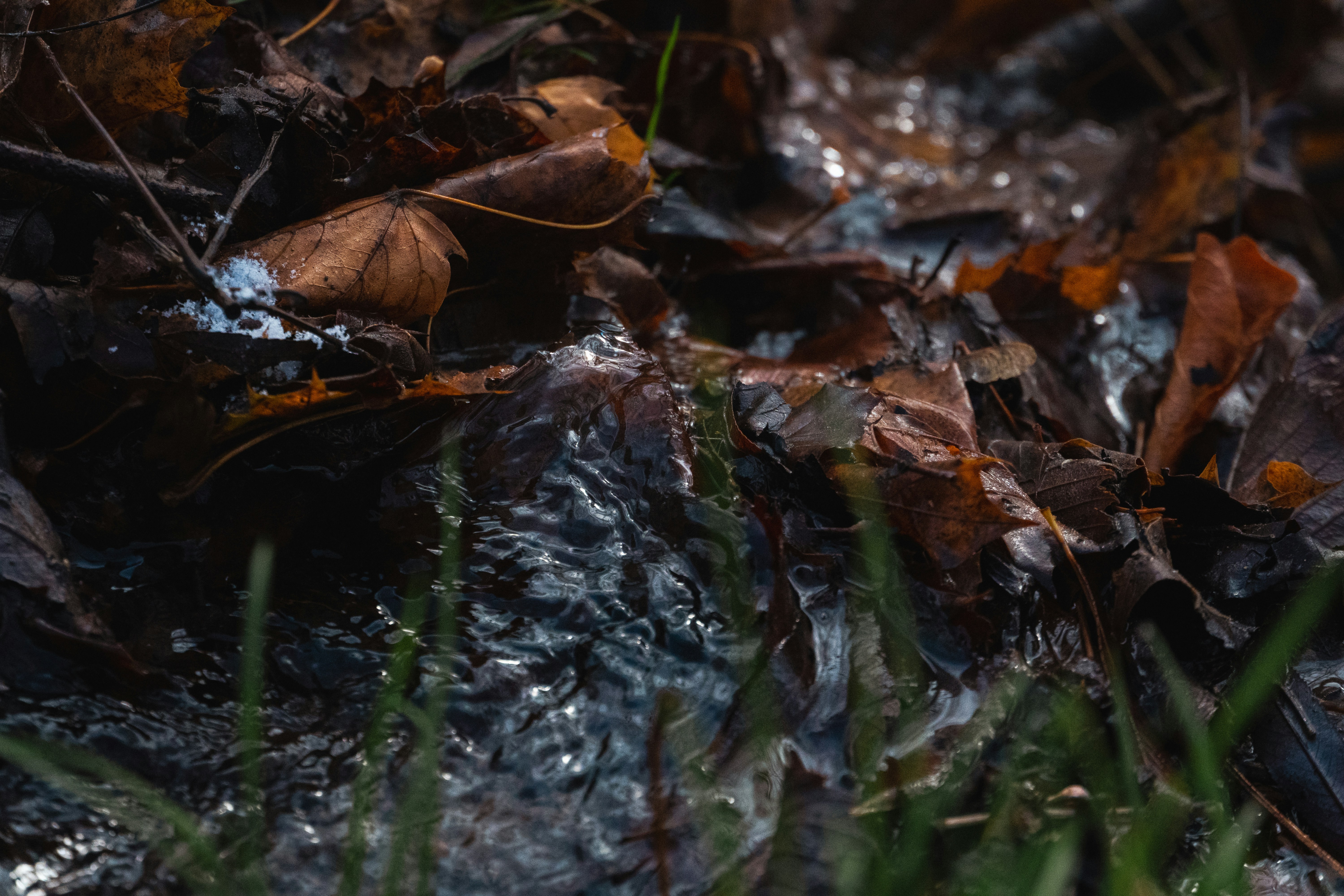 Photo by itsgettinranney