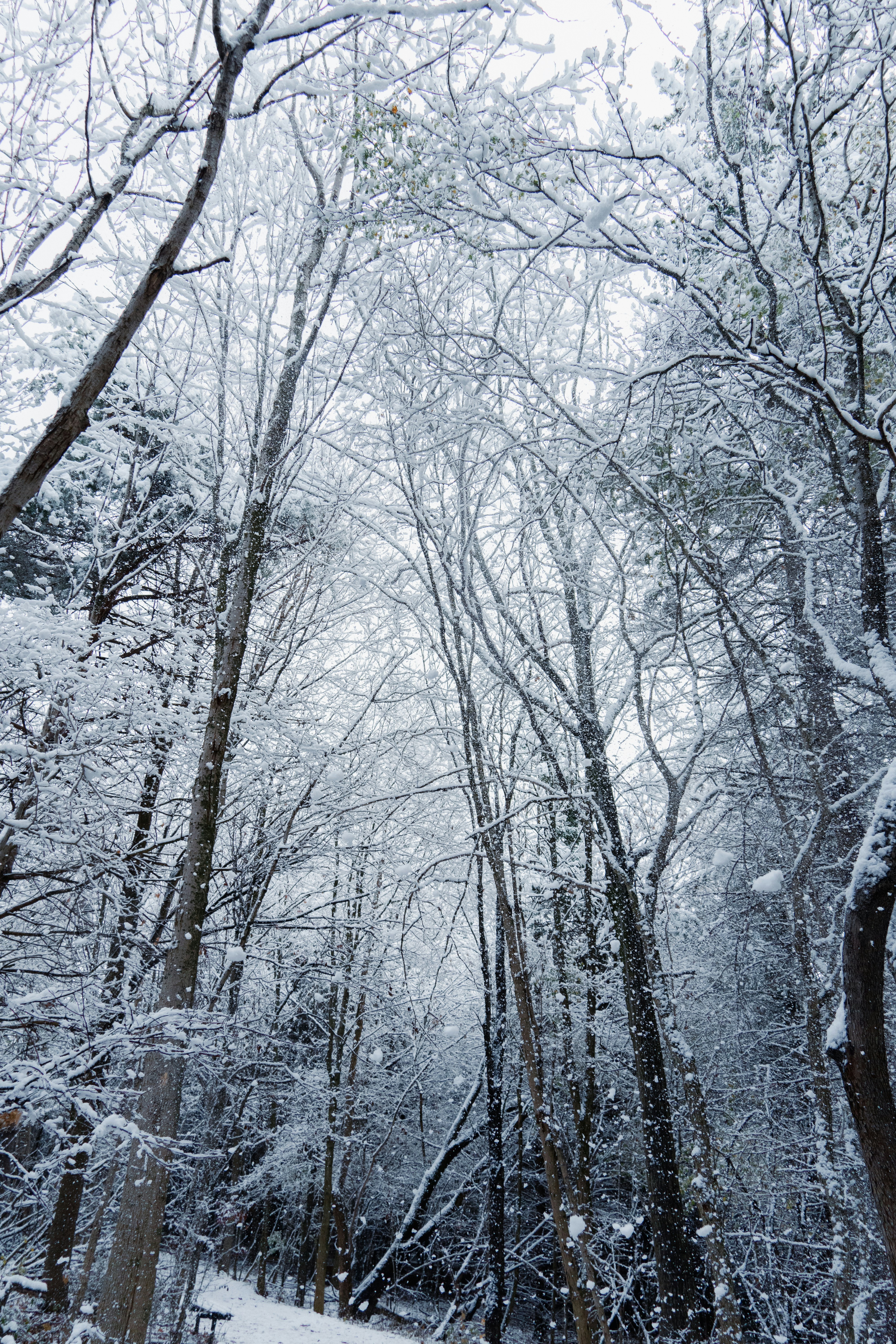 Photo by itsgettinranney