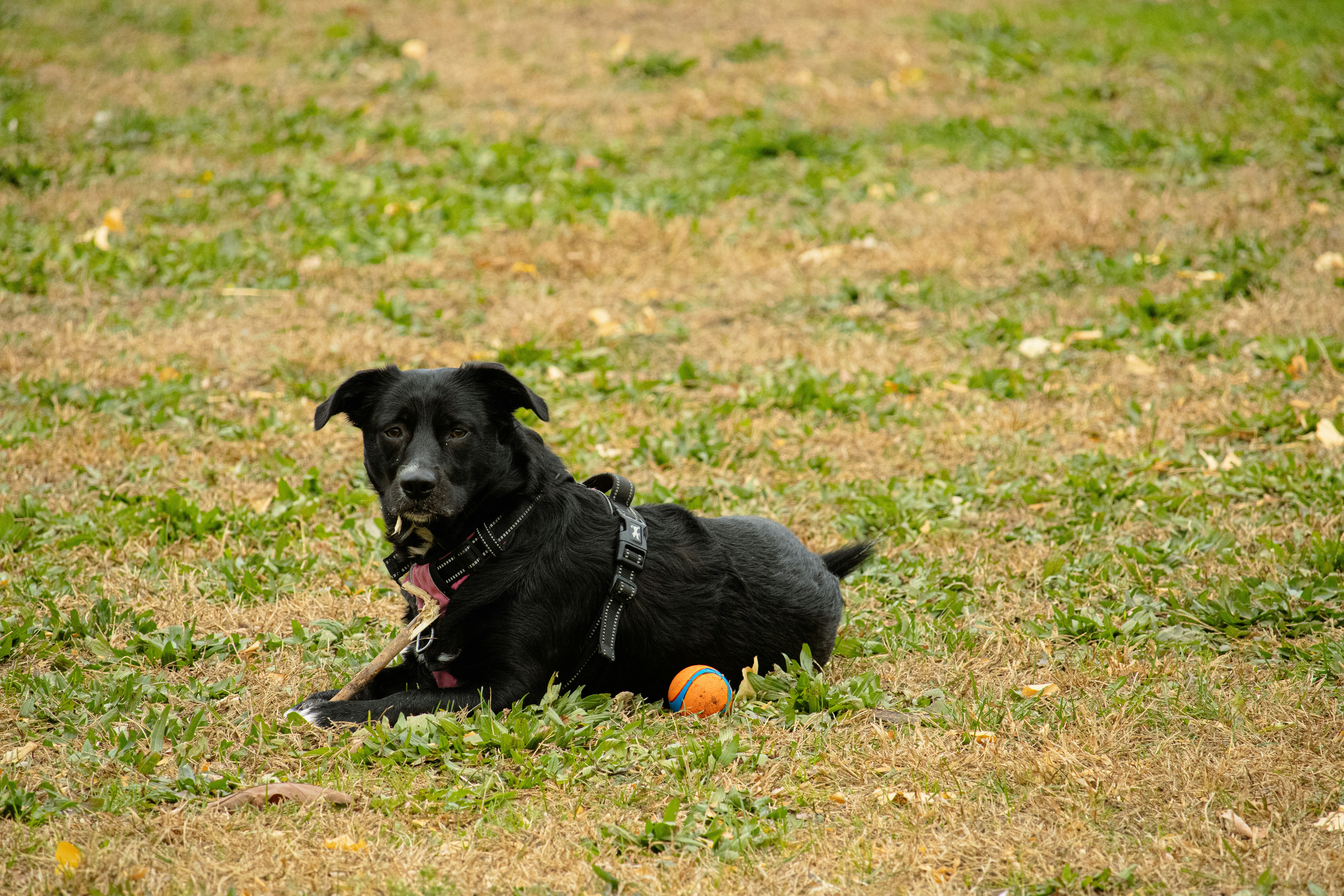 Photo by michaelsoto