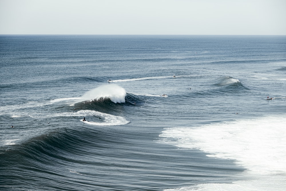 a group of people surfing in the sea