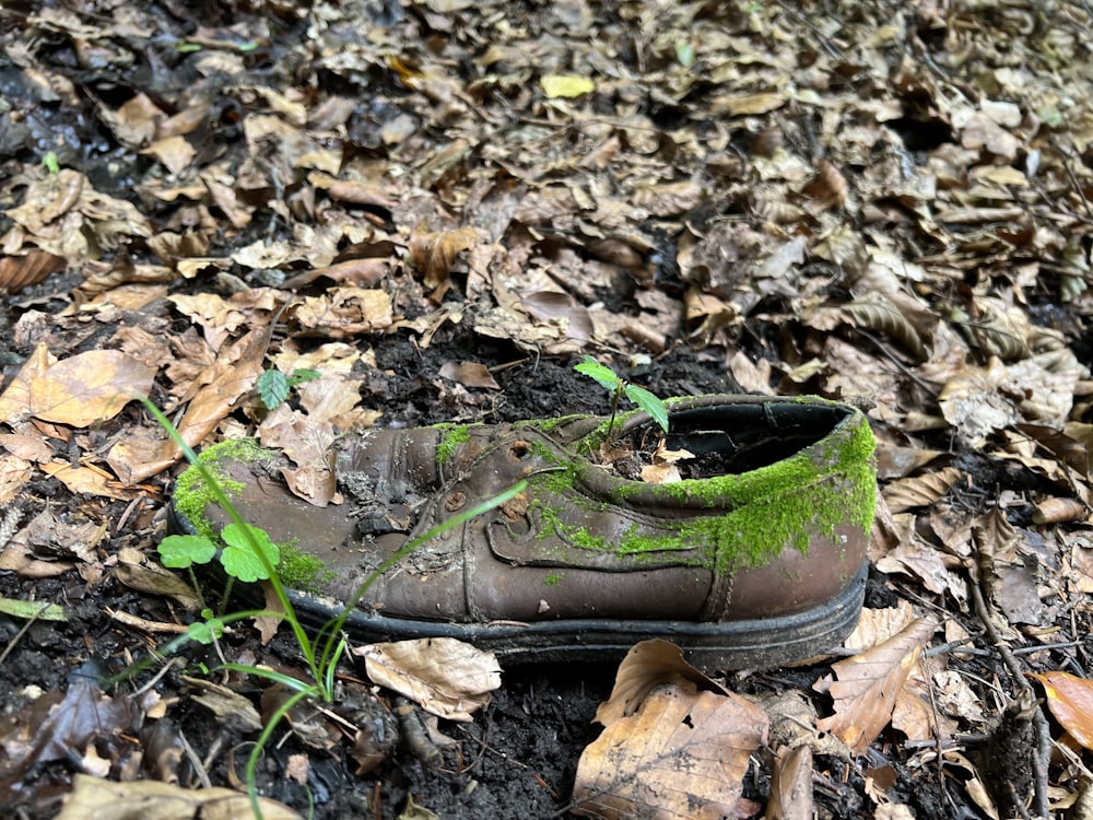 a black shoe on the ground