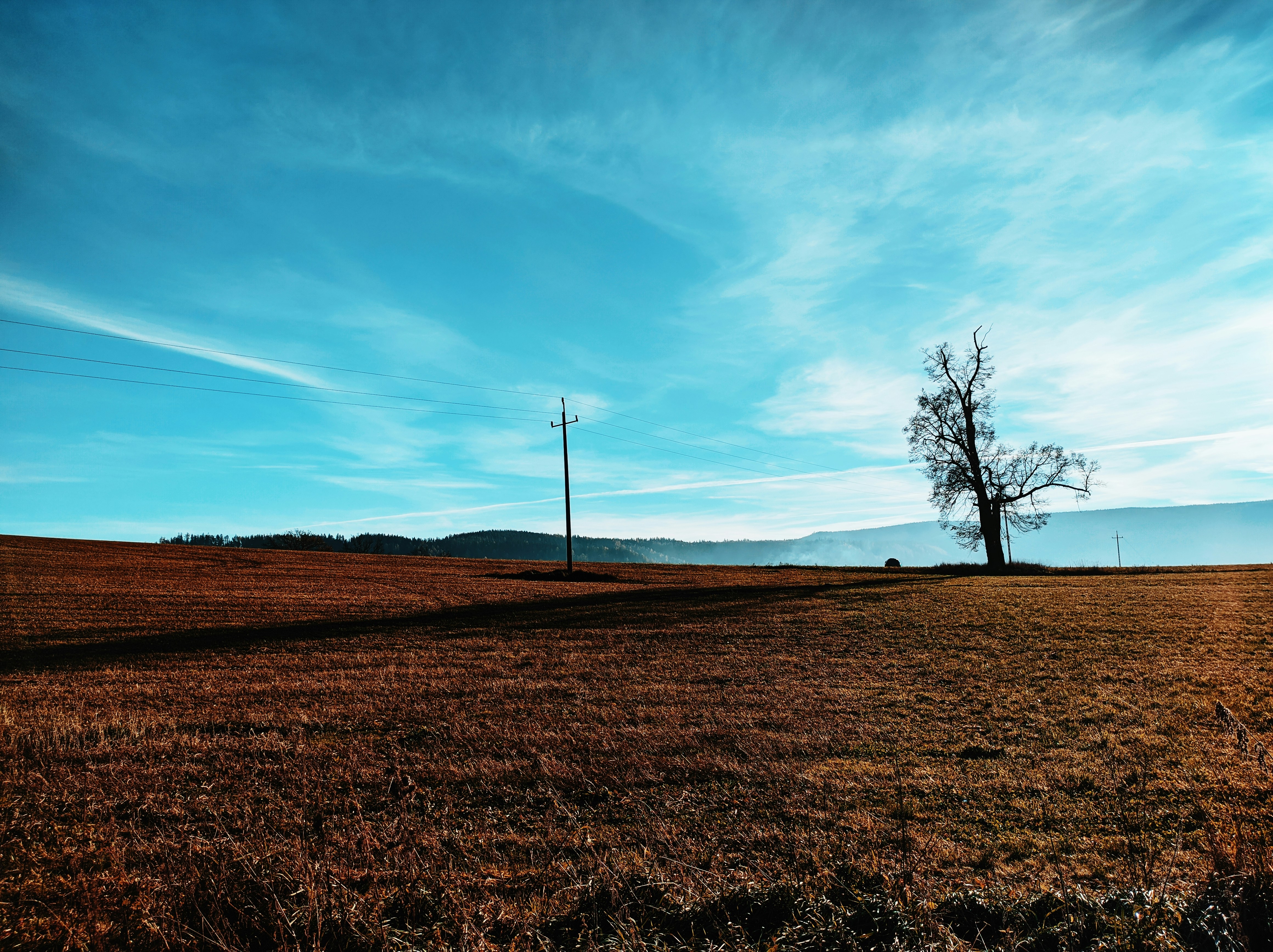 Photo by positivetourettes