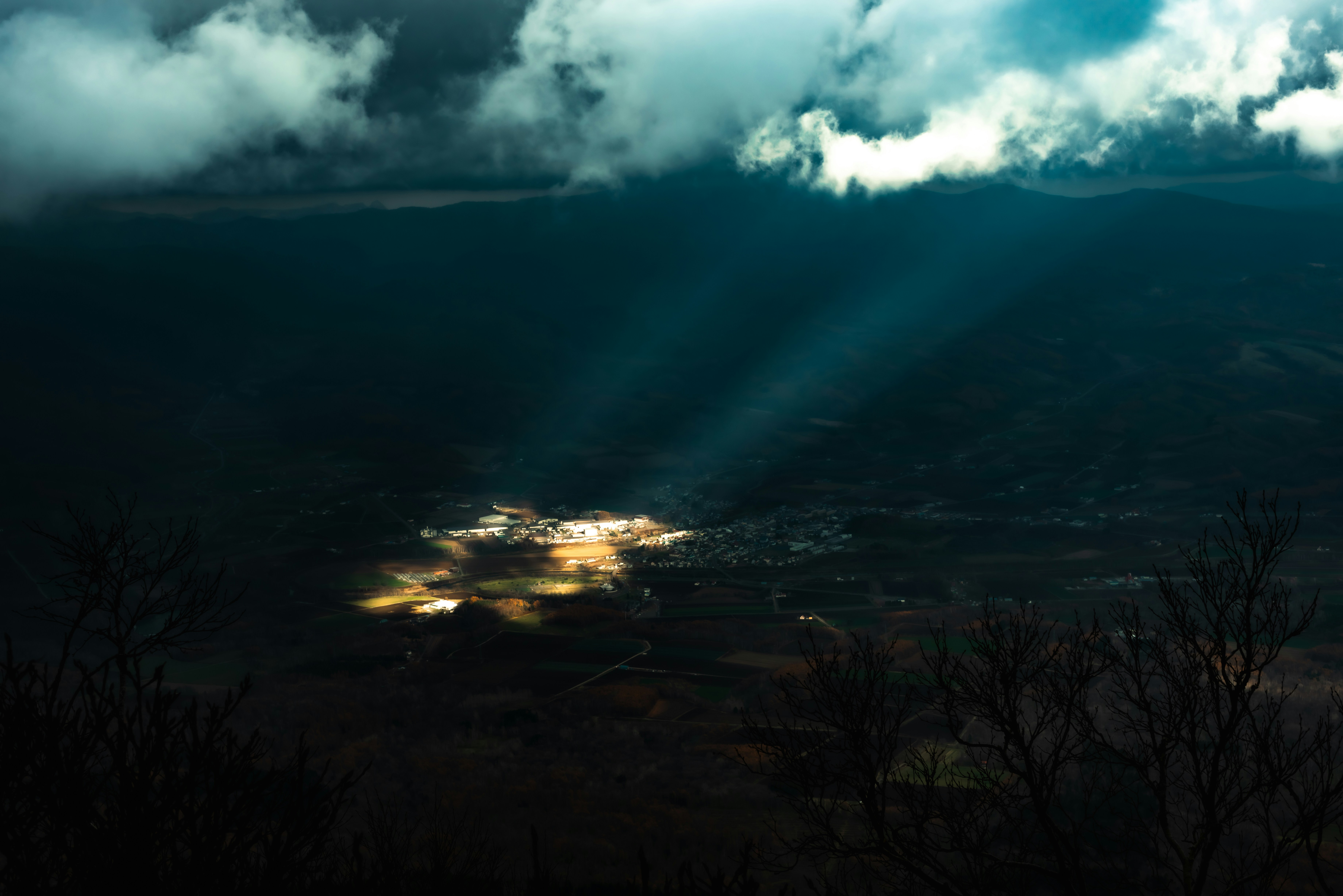 Photo by terra_gallery