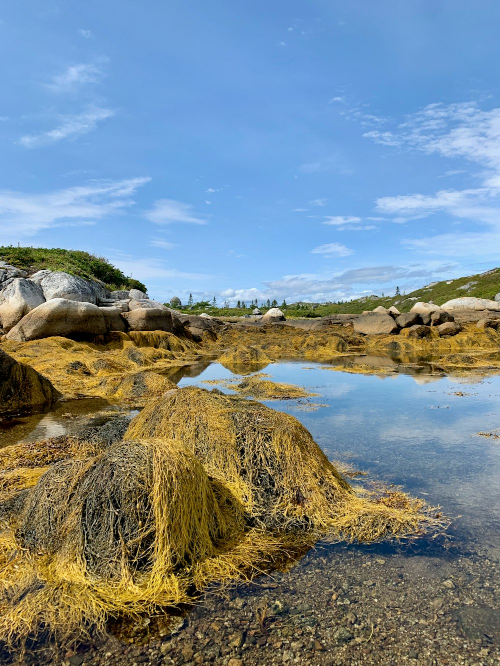 a body of water with rocks and grass on the side