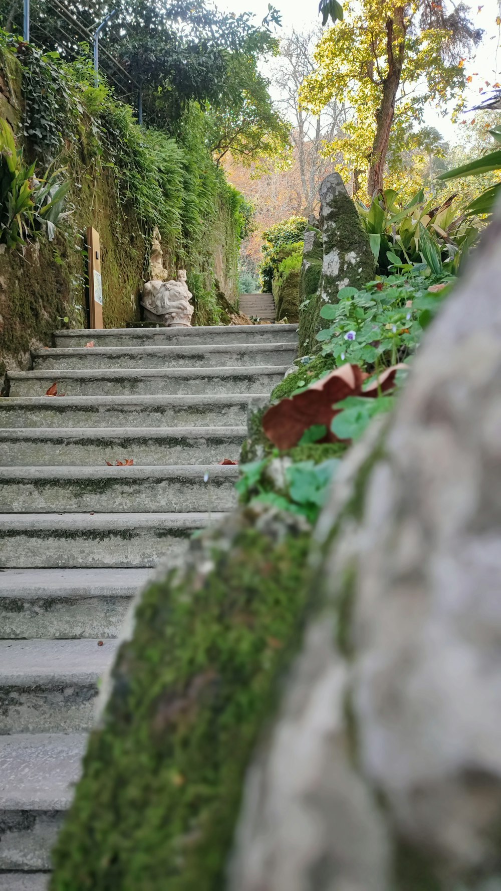 a set of stairs in a garden