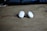Two small white wireless earbuds are placed on a wooden surface. These earbuds have a sleek design with a metallic accent and are positioned with the protective tips facing outward. The background is slightly blurred, creating a soft focus effect.