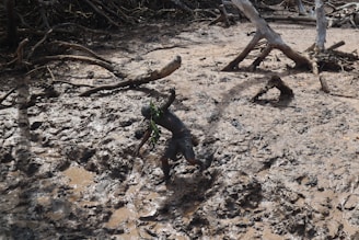 A person is struggling to walk through a dense, muddy terrain, surrounded by scattered tree branches and roots. The environment looks rugged and untamed, as the person uses hands for balance.