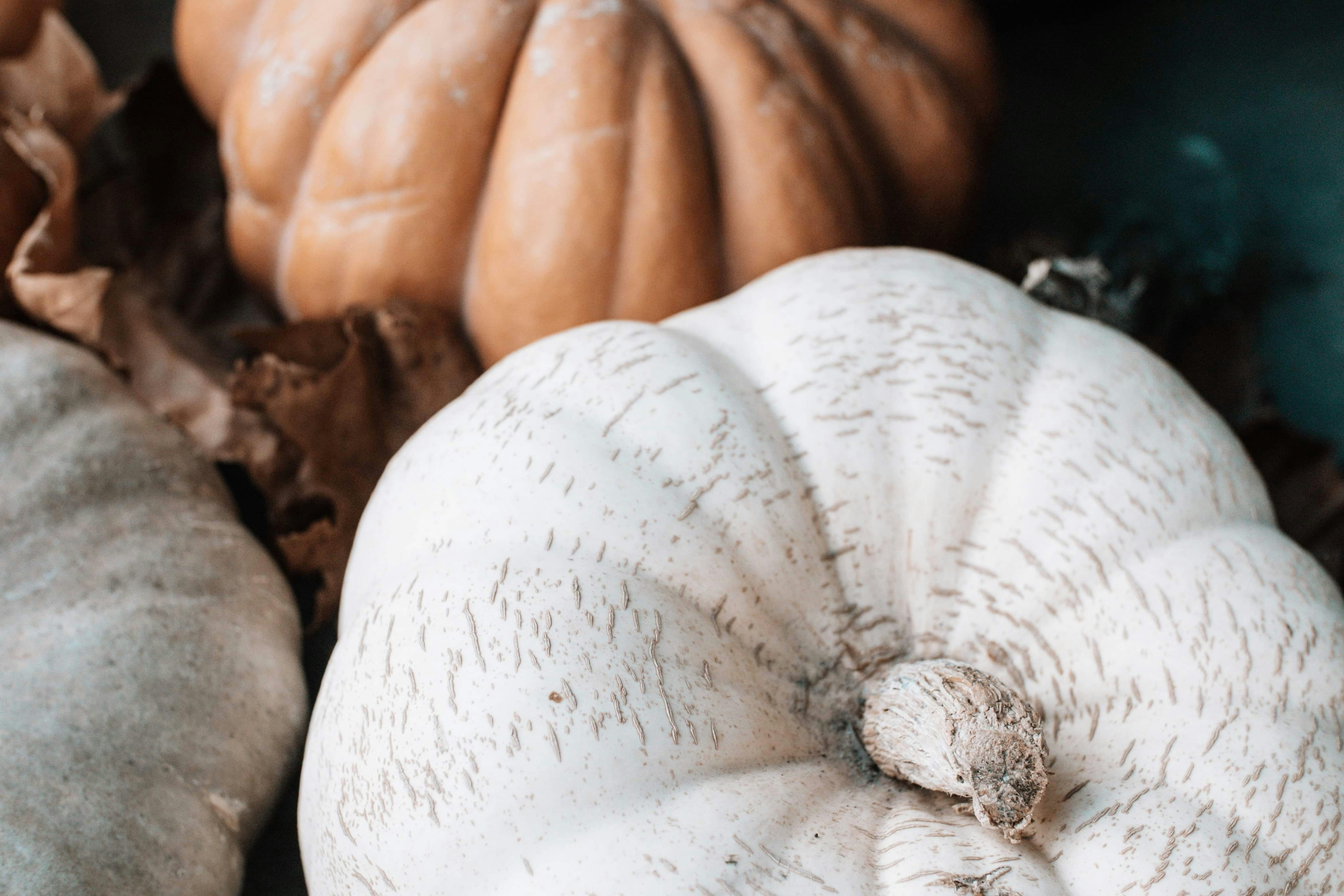 Photo by a_jackie_of_all_trades