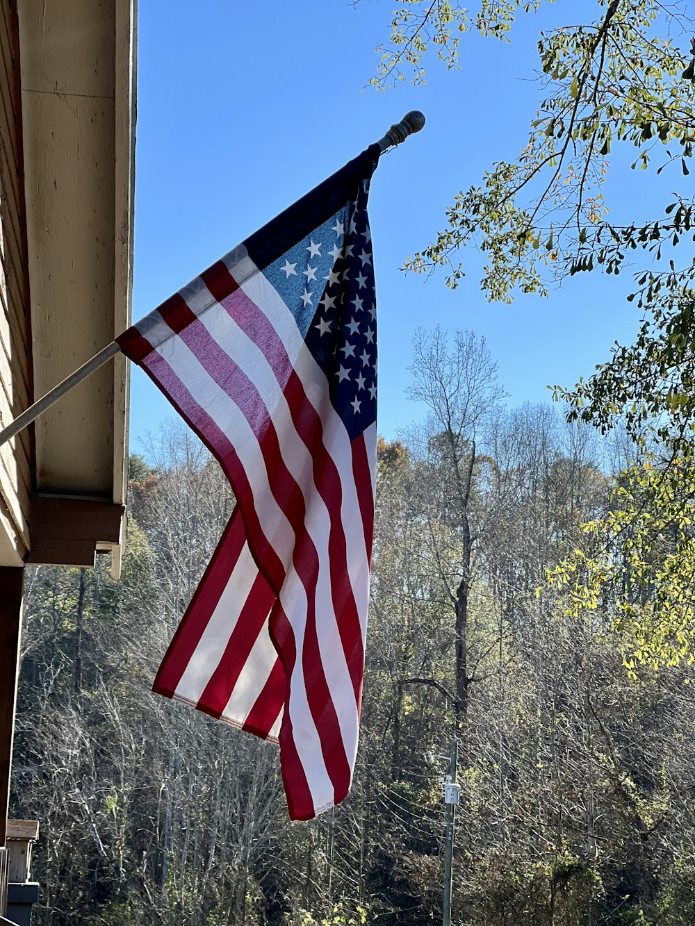 a flag on a pole