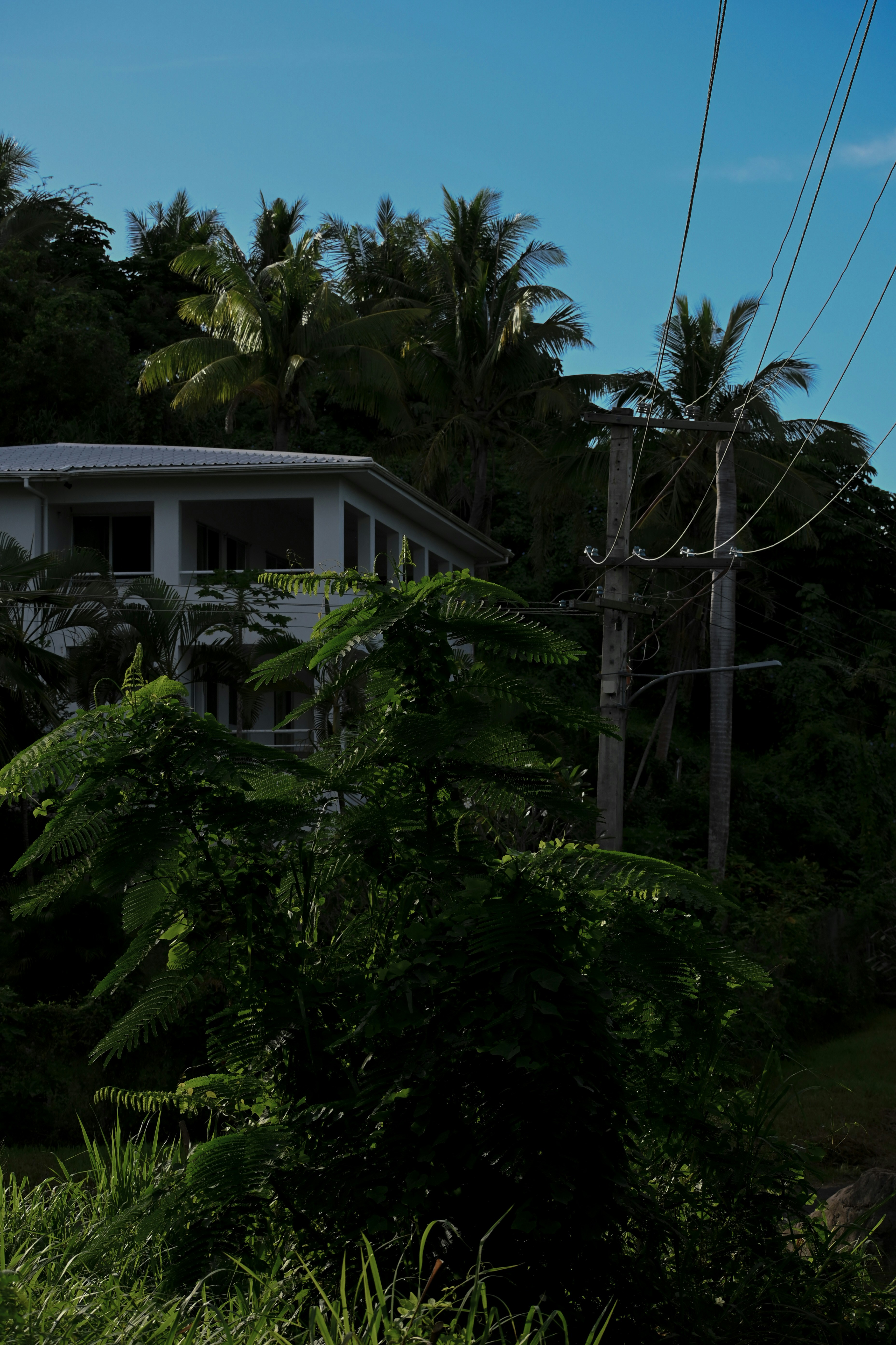 a house surrounded by trees