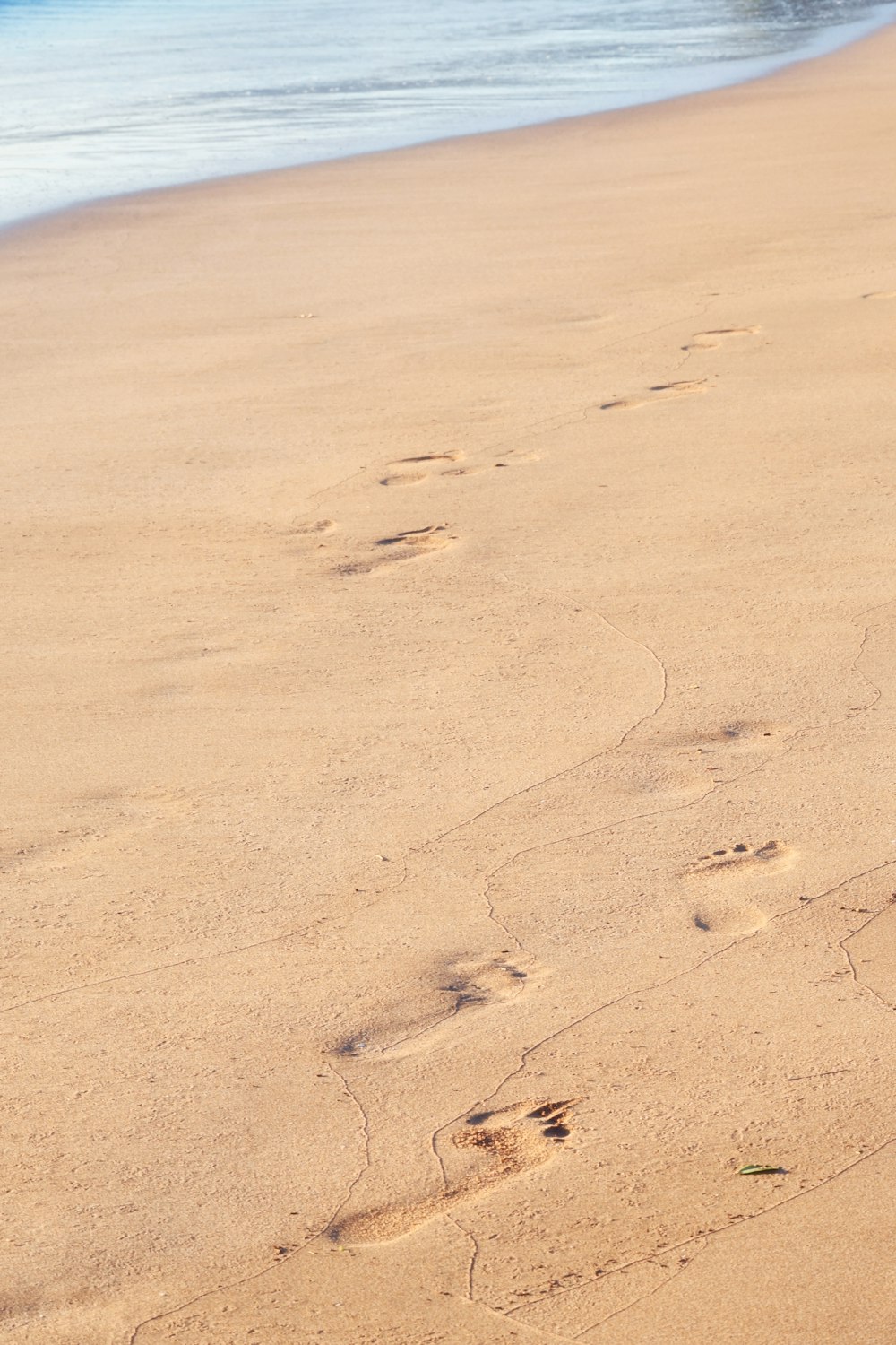 footprints in the sand