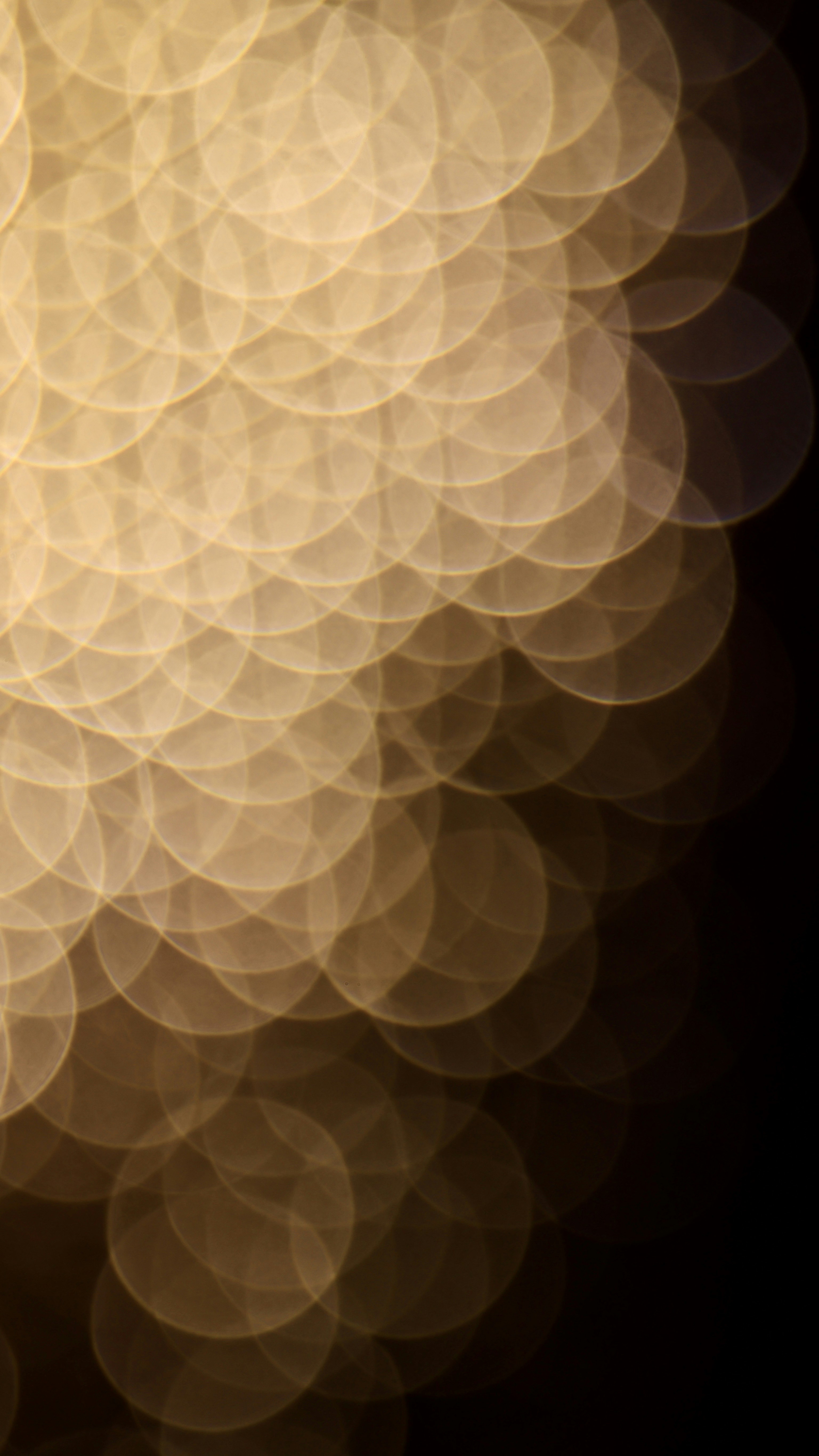 Photo by dickenslin76