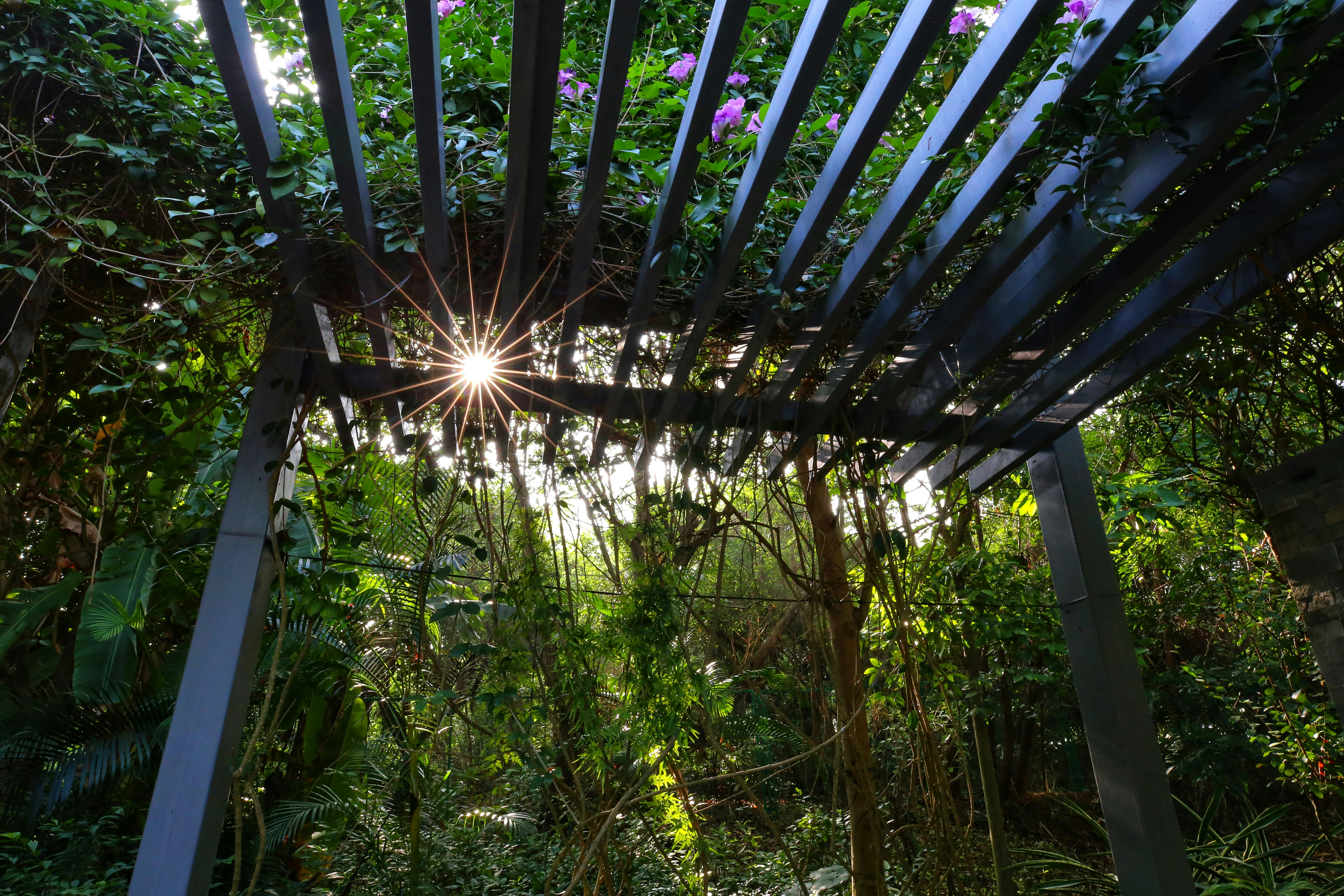 Photo by dickenslin76