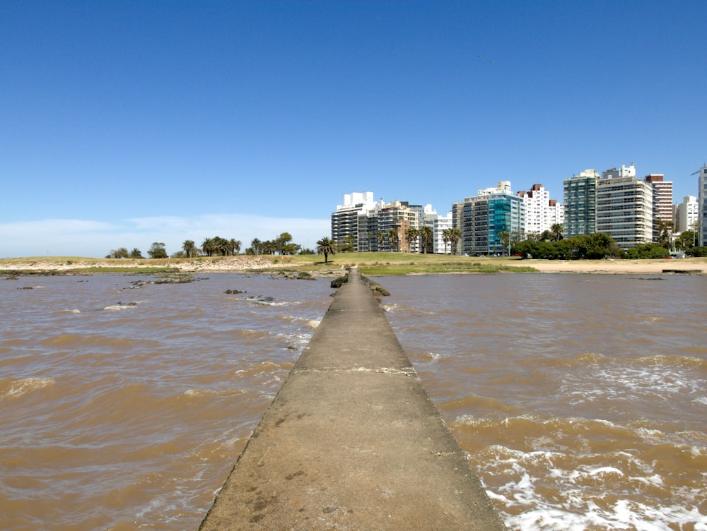 a walkway along a beach