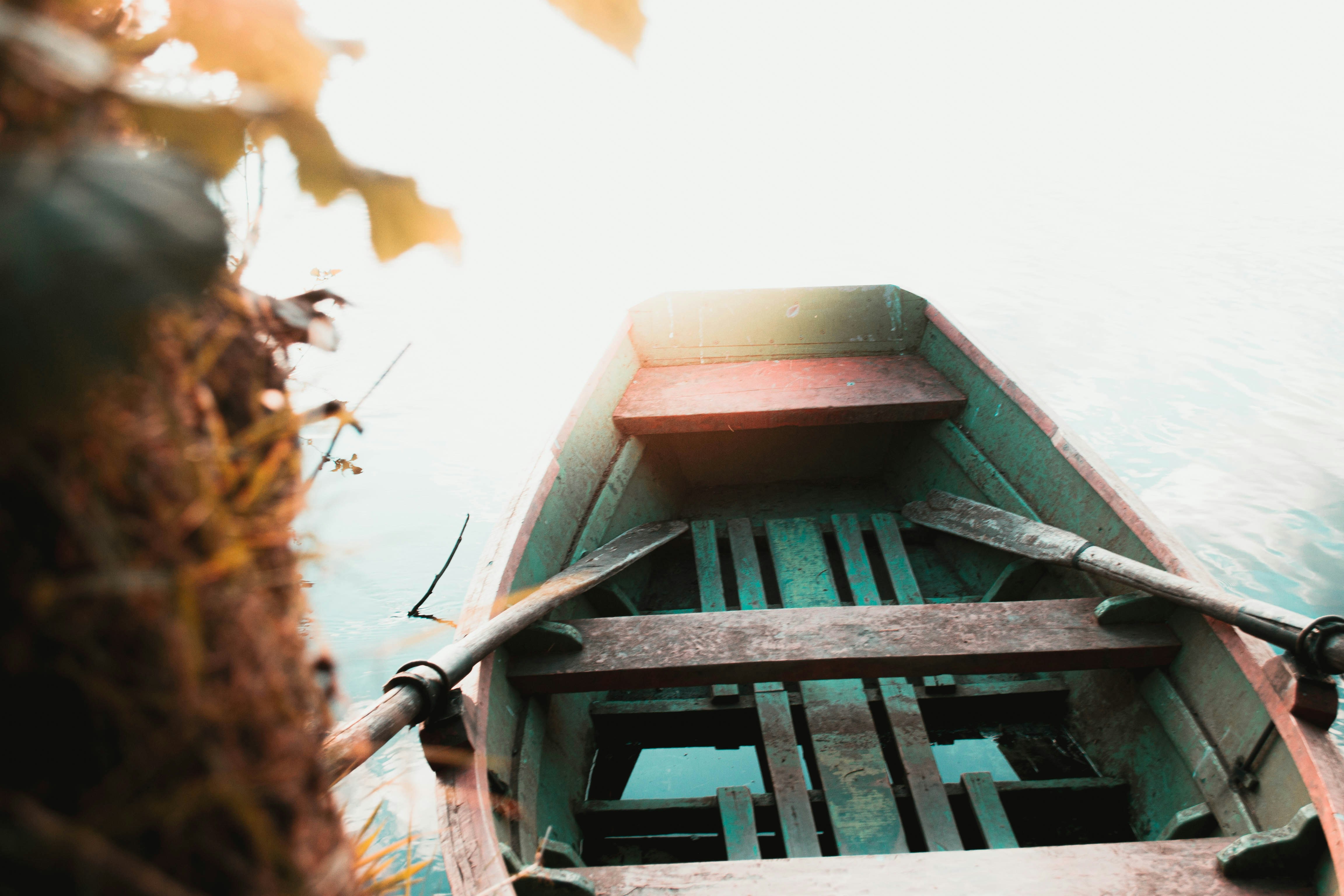 Photo by eliecergallegos