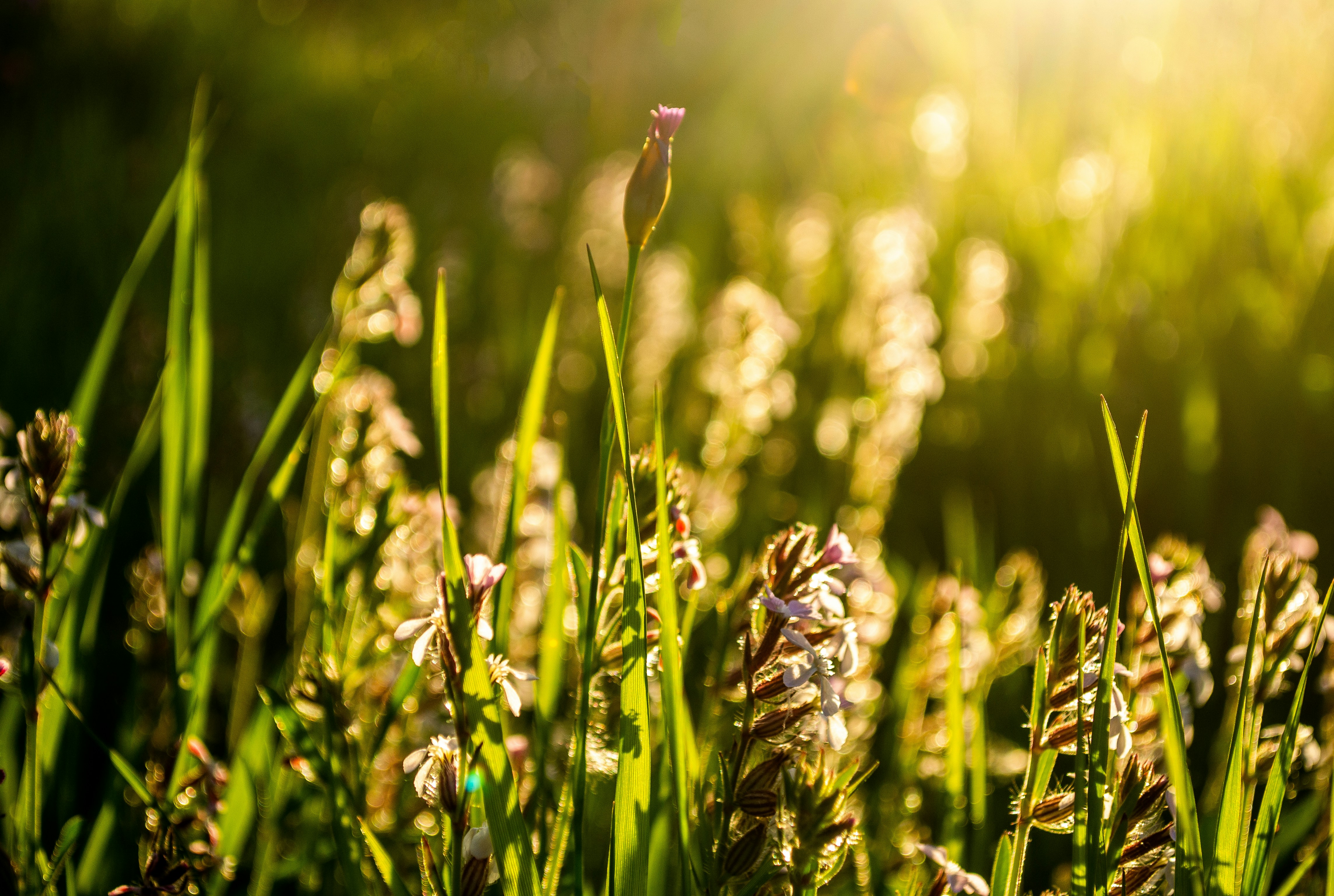 Photo by eliecergallegos