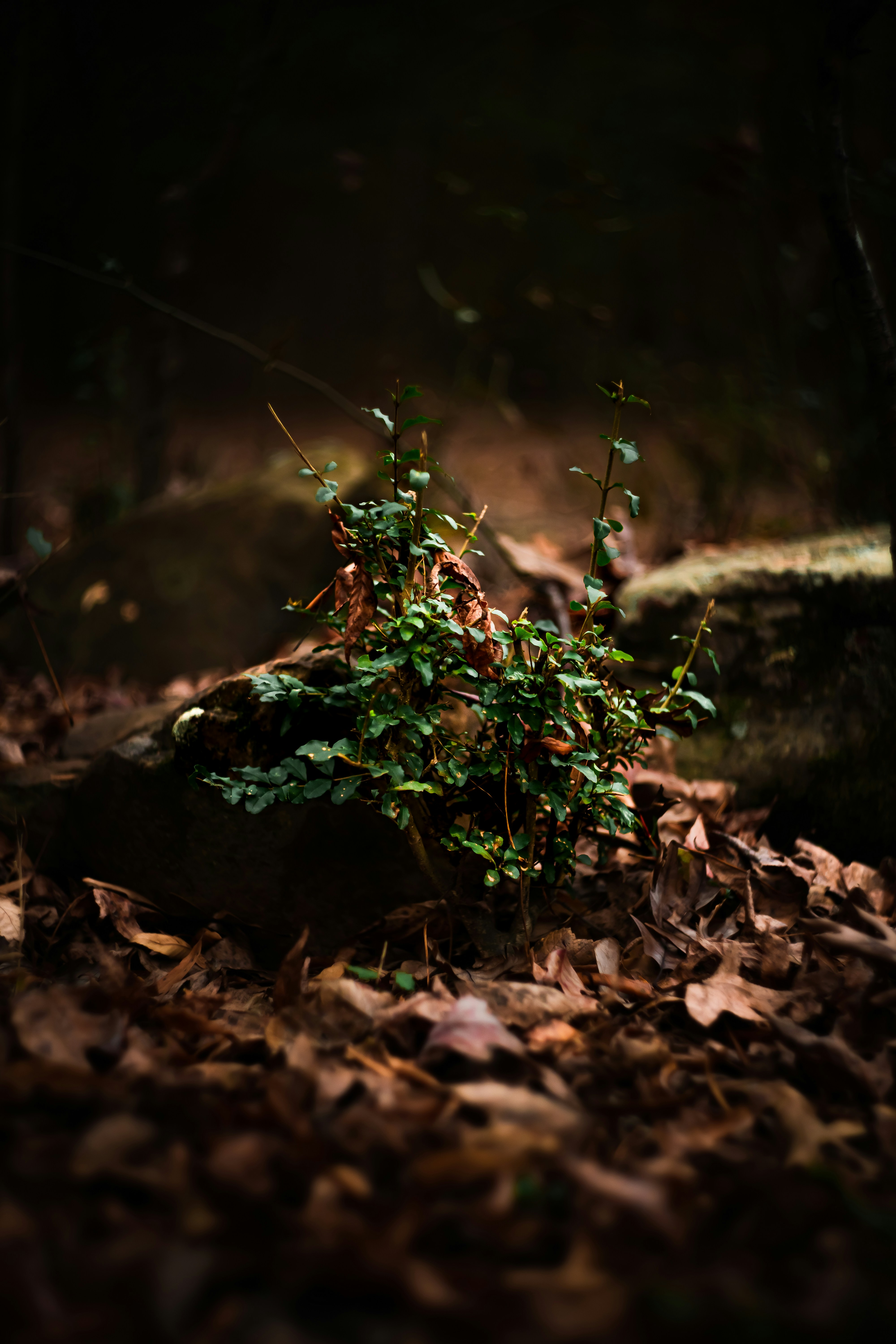 Photo by dylan_michaud