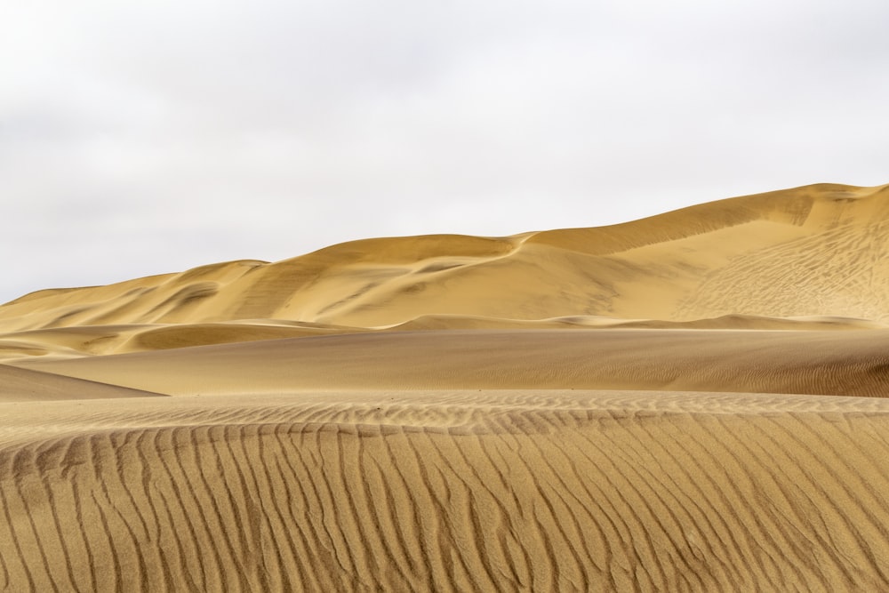 Eine Wüstenlandschaft mit Sanddünen