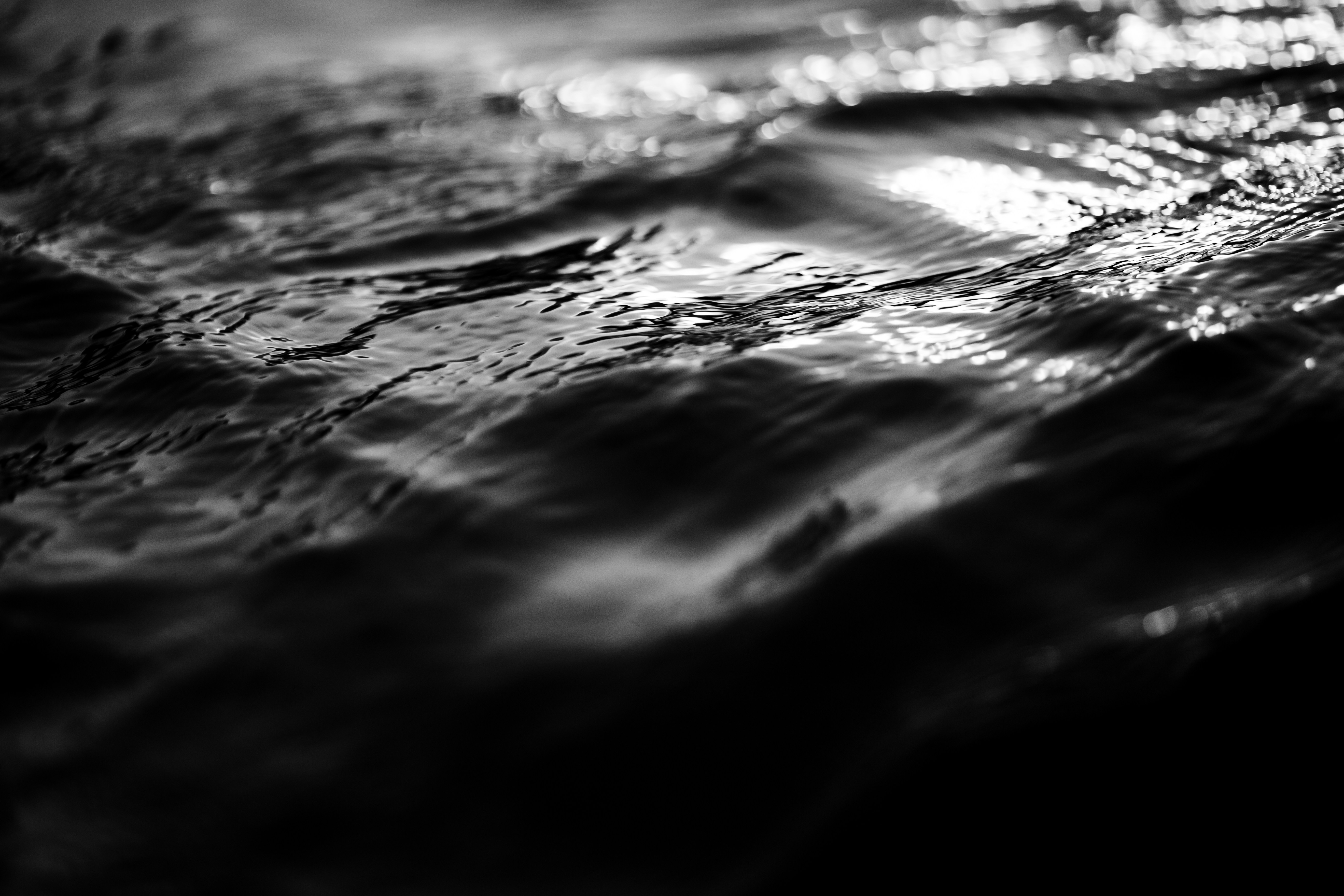 Photo by jonathanborba