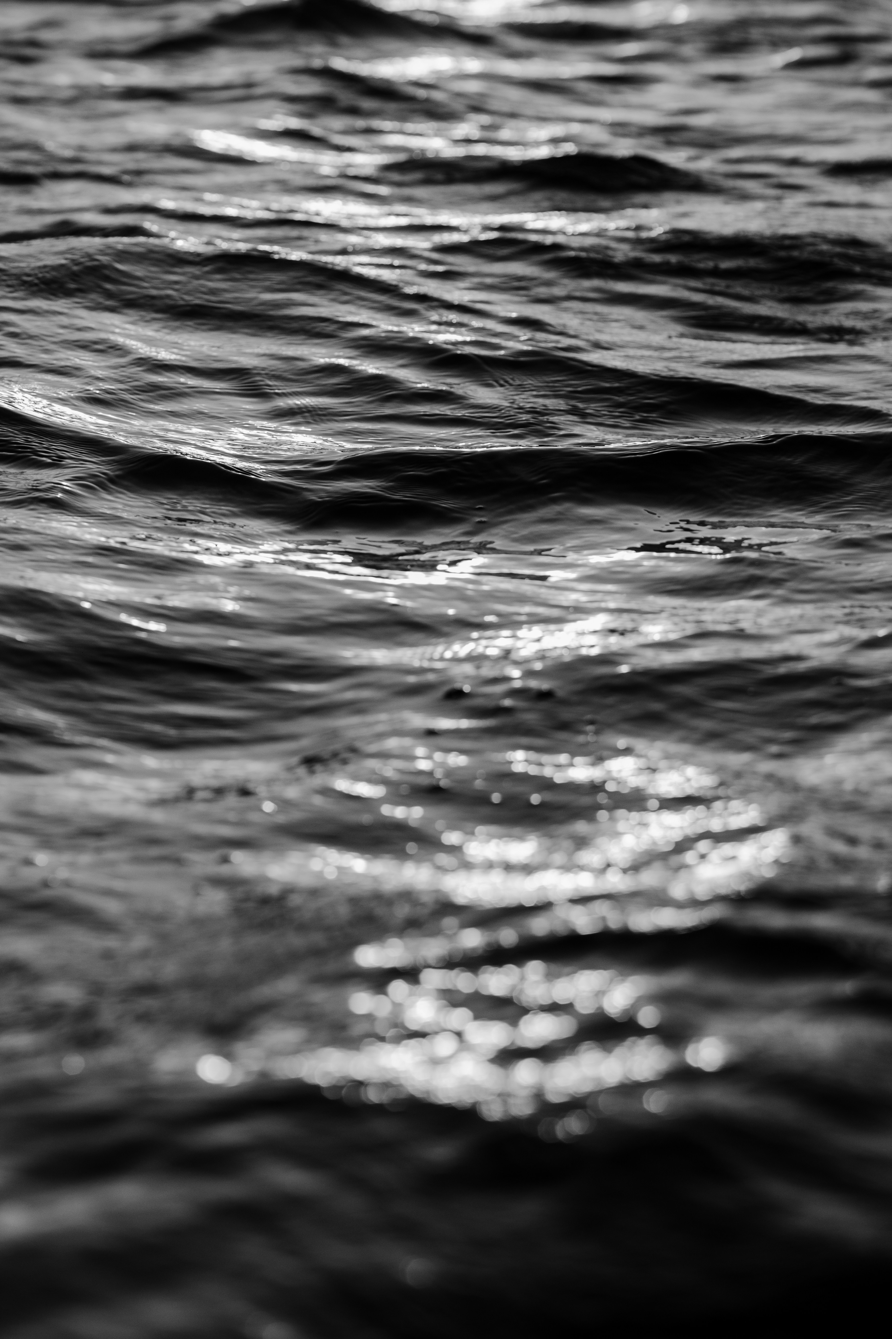 Photo by jonathanborba