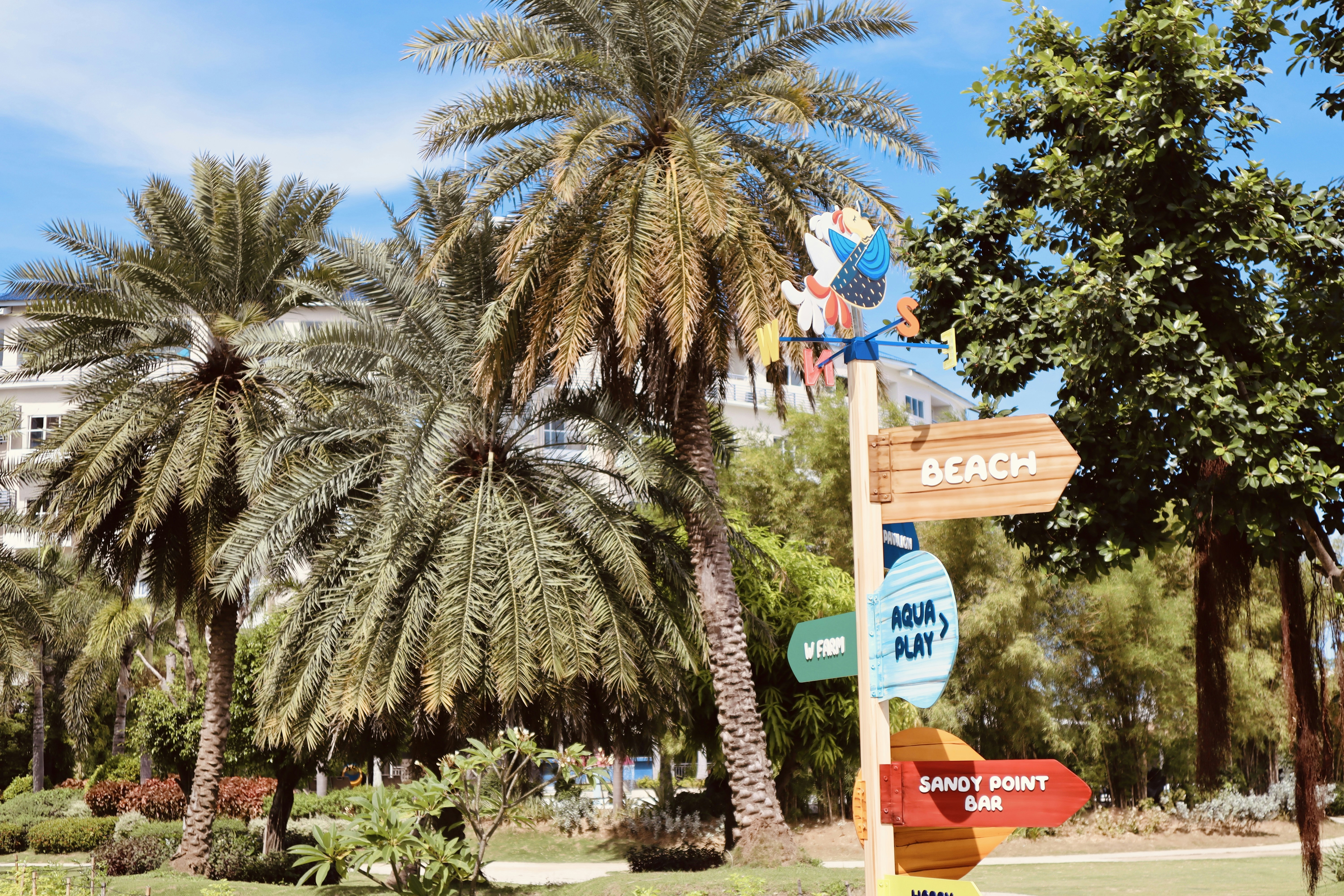 a sign in front of a palm tree